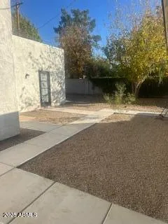 a view of a yard next to a building