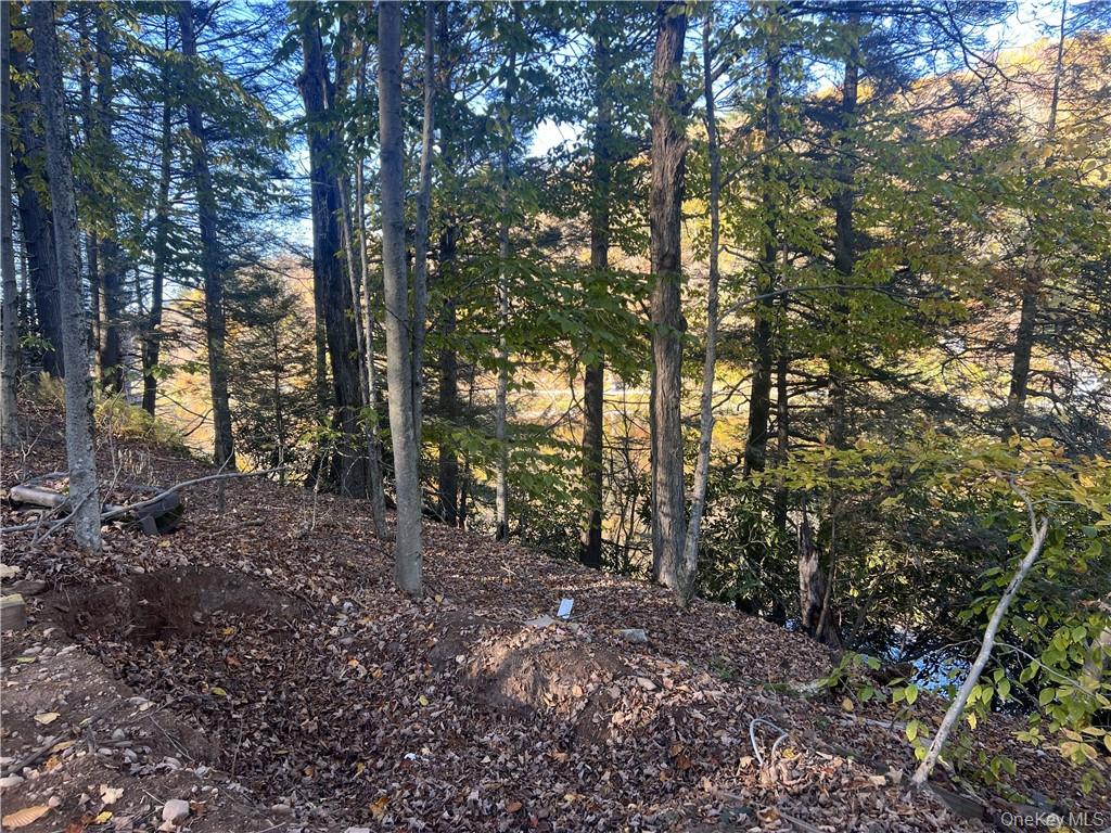 270 Benton Hollow Road Neversink, NY 12765 - Photo 20 of 21 a view of a forest with trees