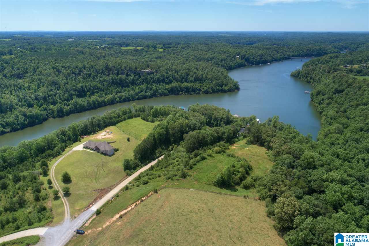 0 Ridge Drive, Unit 58 PART 54 & BOAT RAMP Arley, AL 35541 - Photo 19 of 27