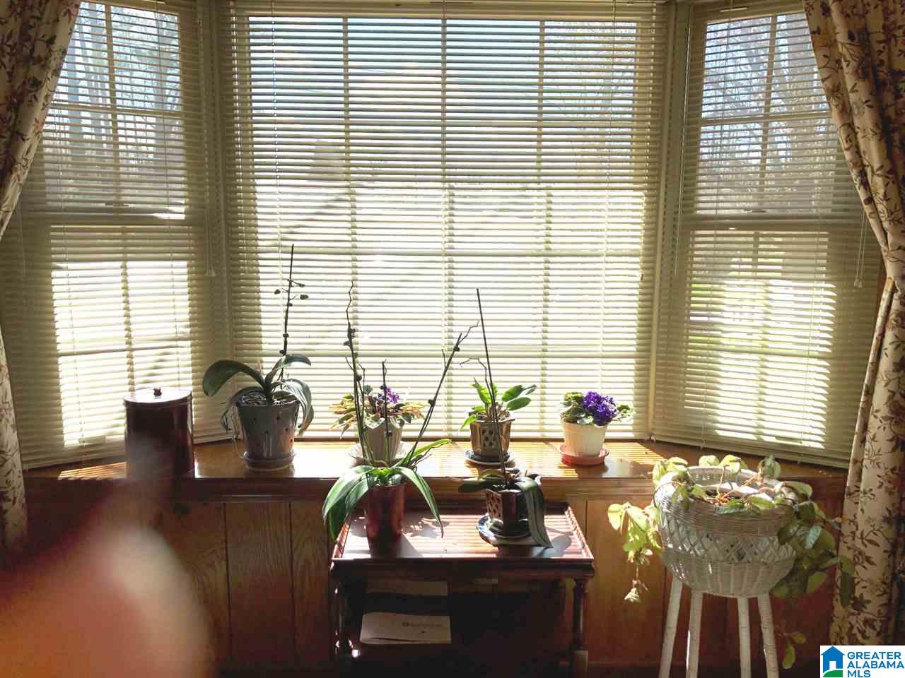 347 Brockford Road Heflin, AL 36264 - Photo 4 of 42