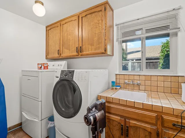 a view of a plant in a garden