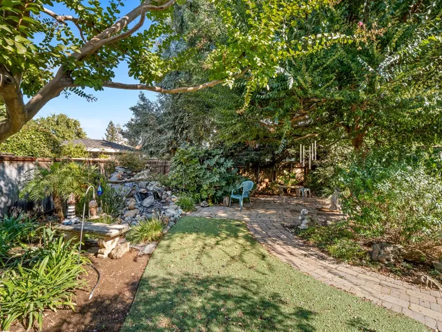 a view of a garden with plants and trees