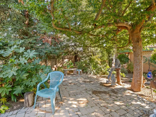 a view of a yard with plants and large trees
