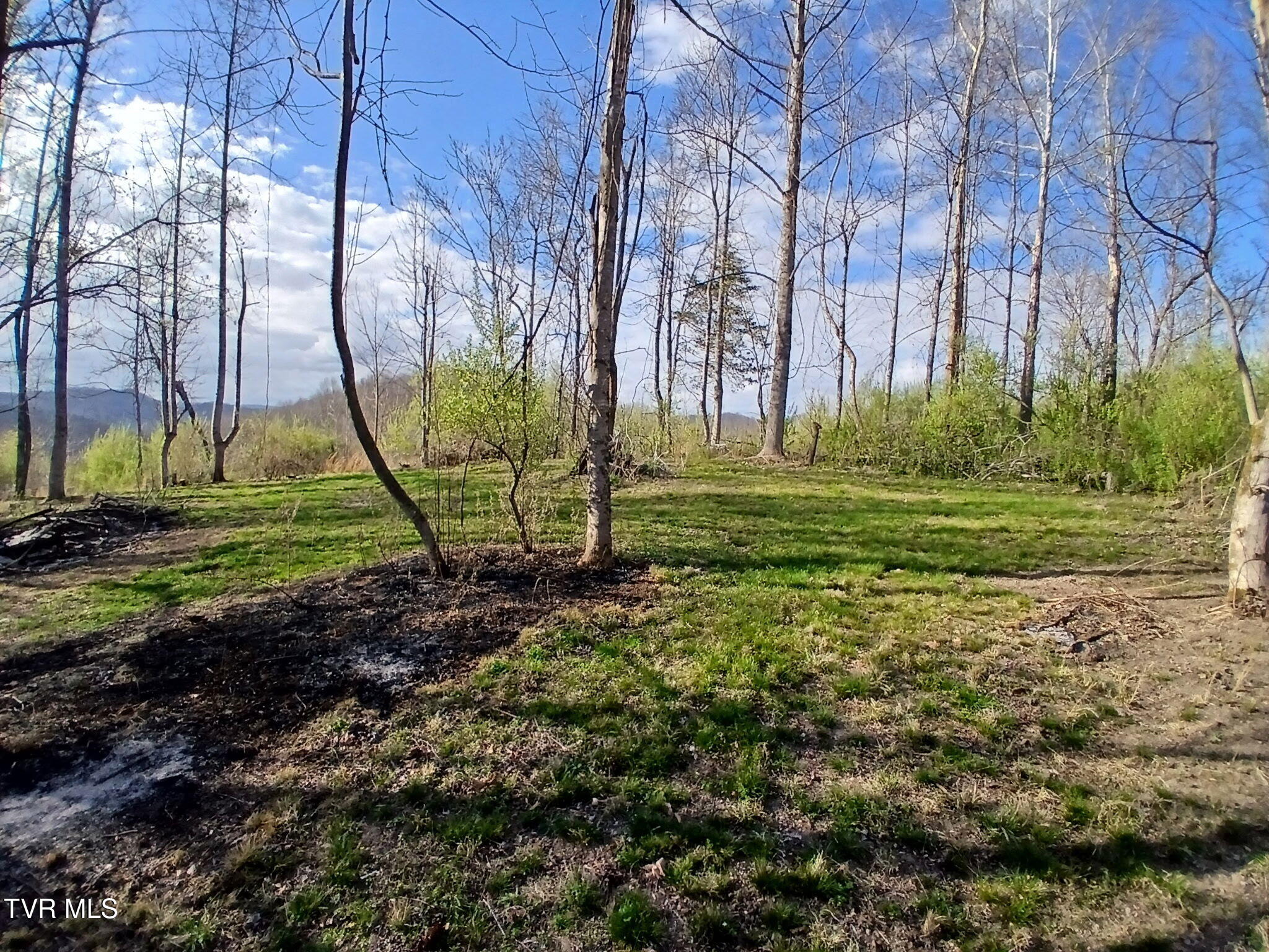 4314 Big Hill Road Pennington Gap, VA 24277 - Photo 5 of 35 1000003294