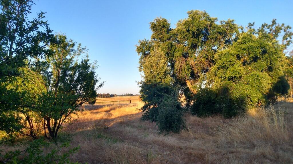 10076 Florin Road Sacramento, CA 95829 - Photo 29 of 30