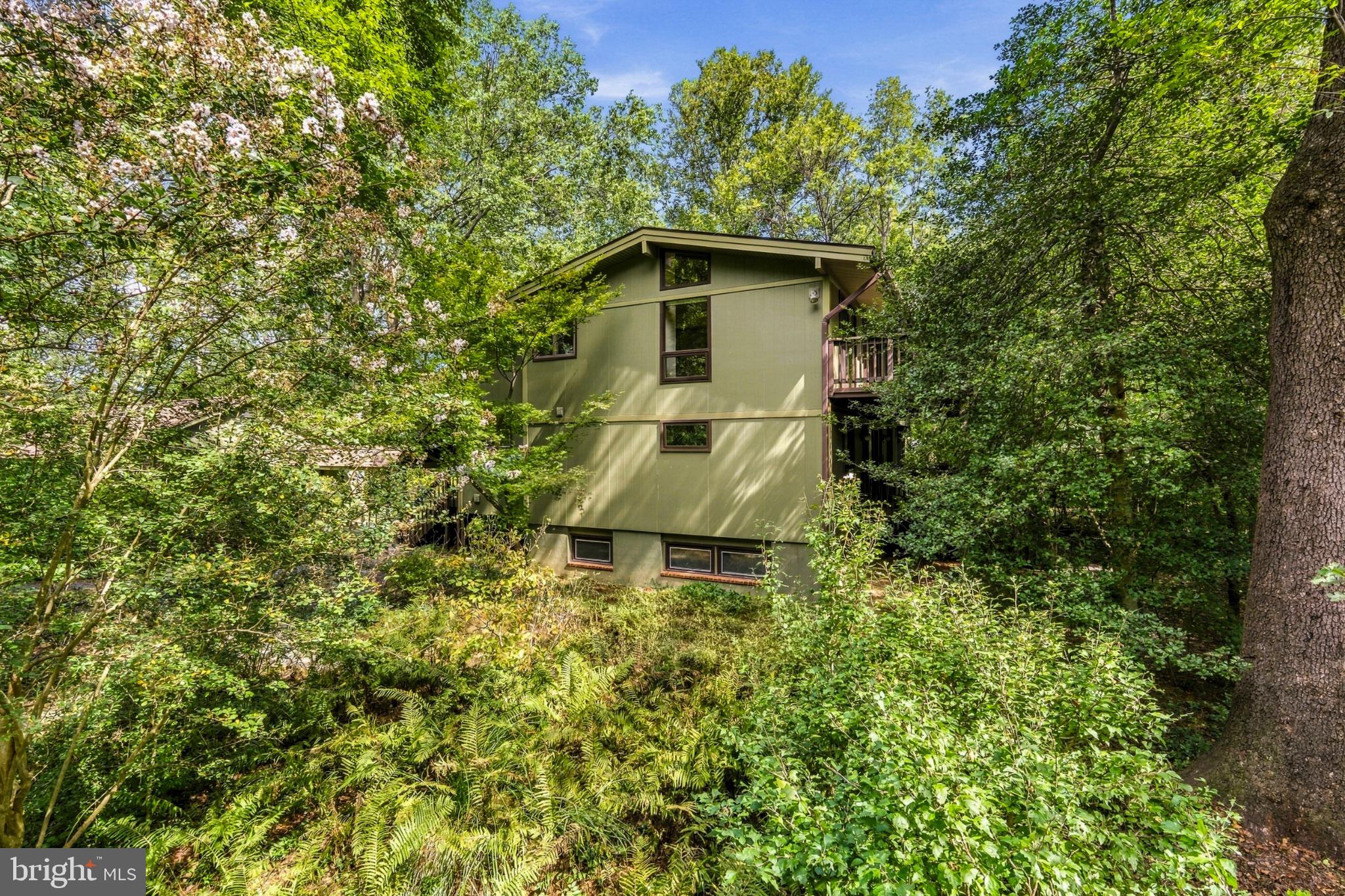 500 Walker Road Great Falls, VA 22066 - Photo 3 of 74 Gallery Image 3