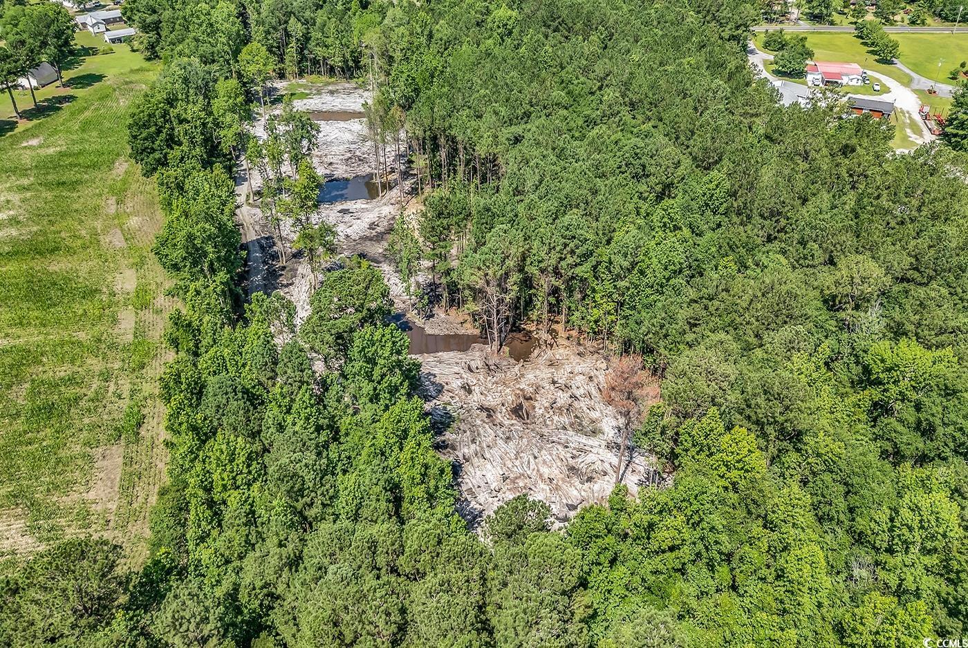 Tbb4 Coats Road Loris, SC 29569 - Photo 8 of 10