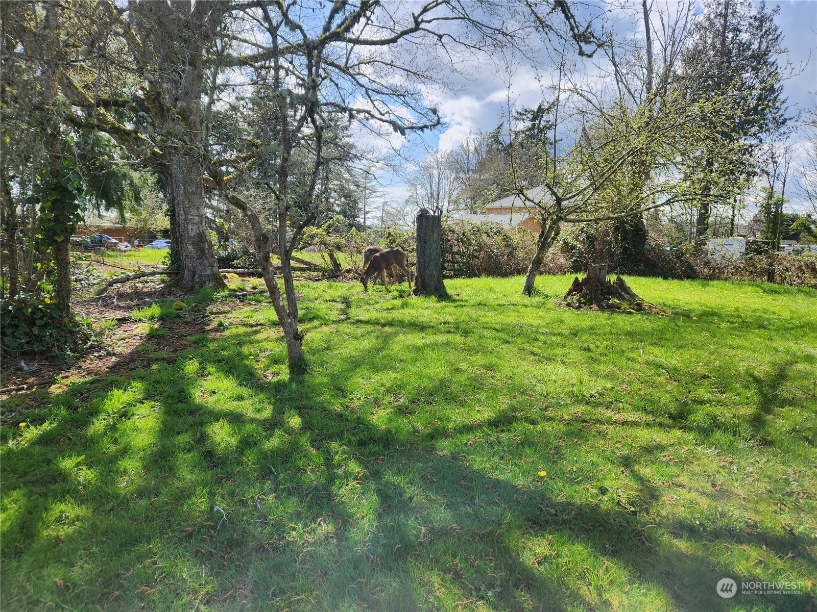 3269 Rickey Road Bremerton, WA 98310 - Photo 33 of 34 Gallery Image 33