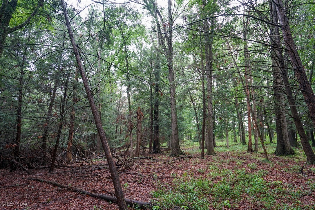 Meacham Road Ray, OH 45672 - Photo 22 of 31 View of woods