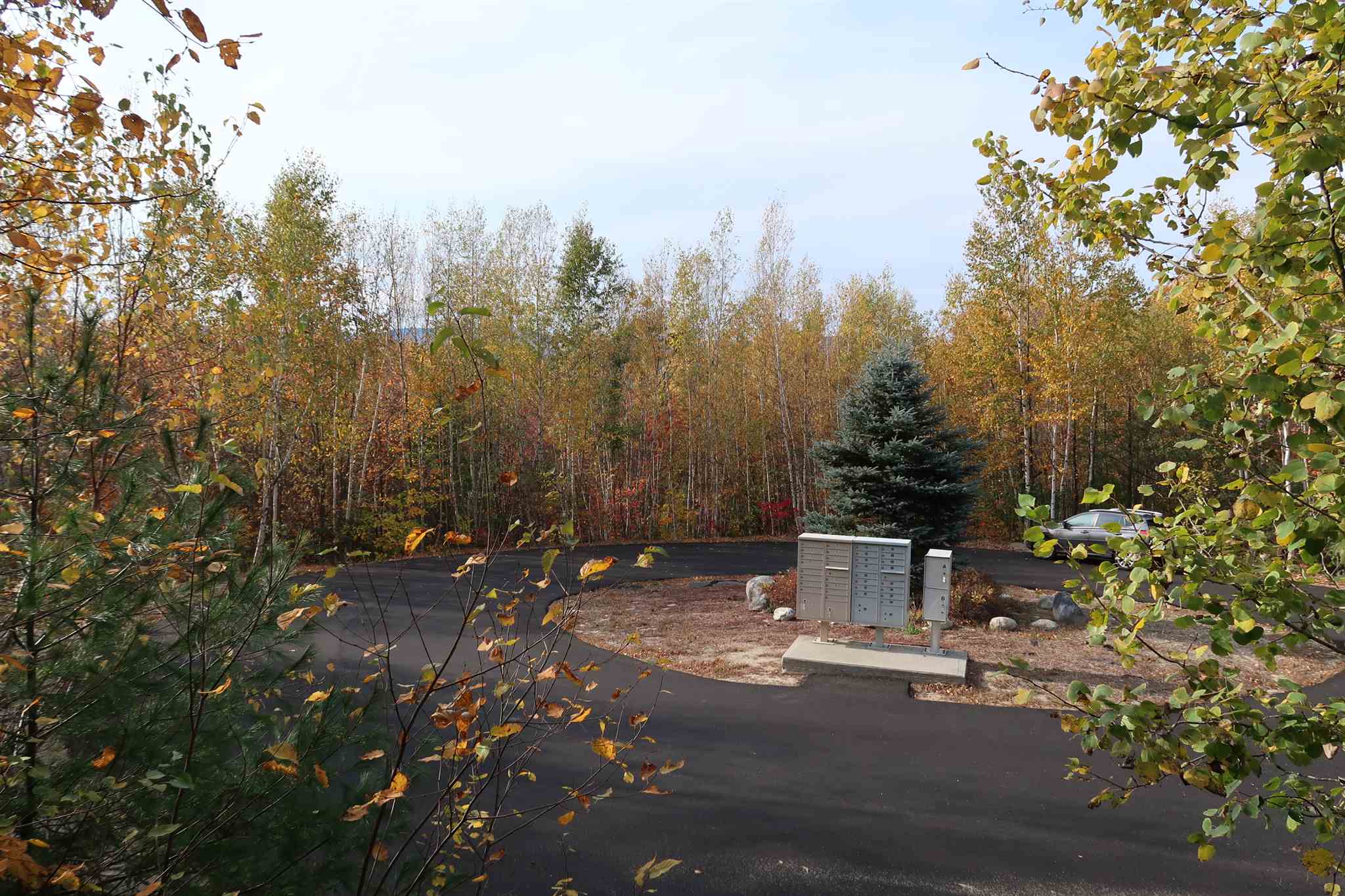 0 Scenic View Road, Unit LOT 5 Bristol, NH 03222 - Photo 11 of 38