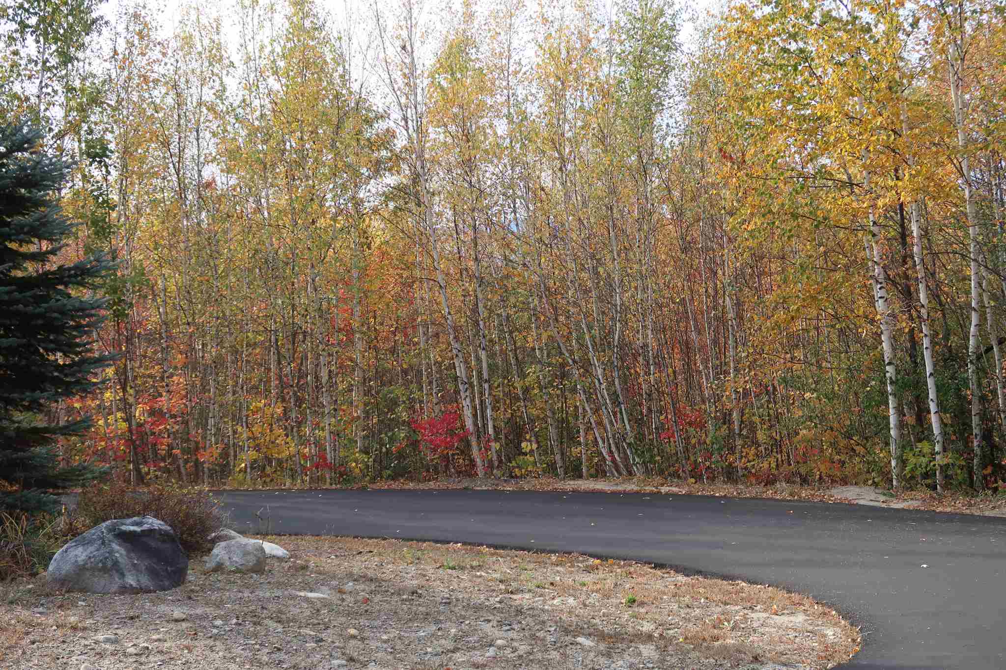 0 Scenic View Road, Unit LOT 5 Bristol, NH 03222 - Photo 13 of 38