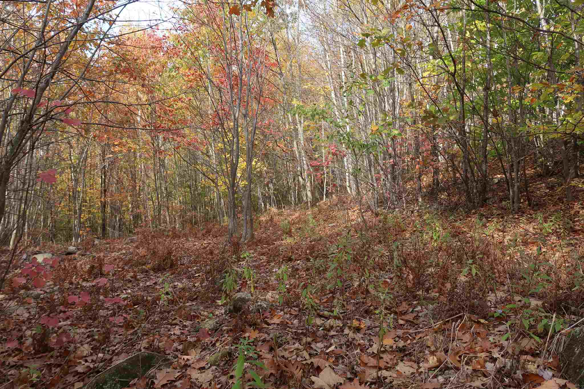 0 Scenic View Road, Unit LOT 5 Bristol, NH 03222 - Photo 15 of 38