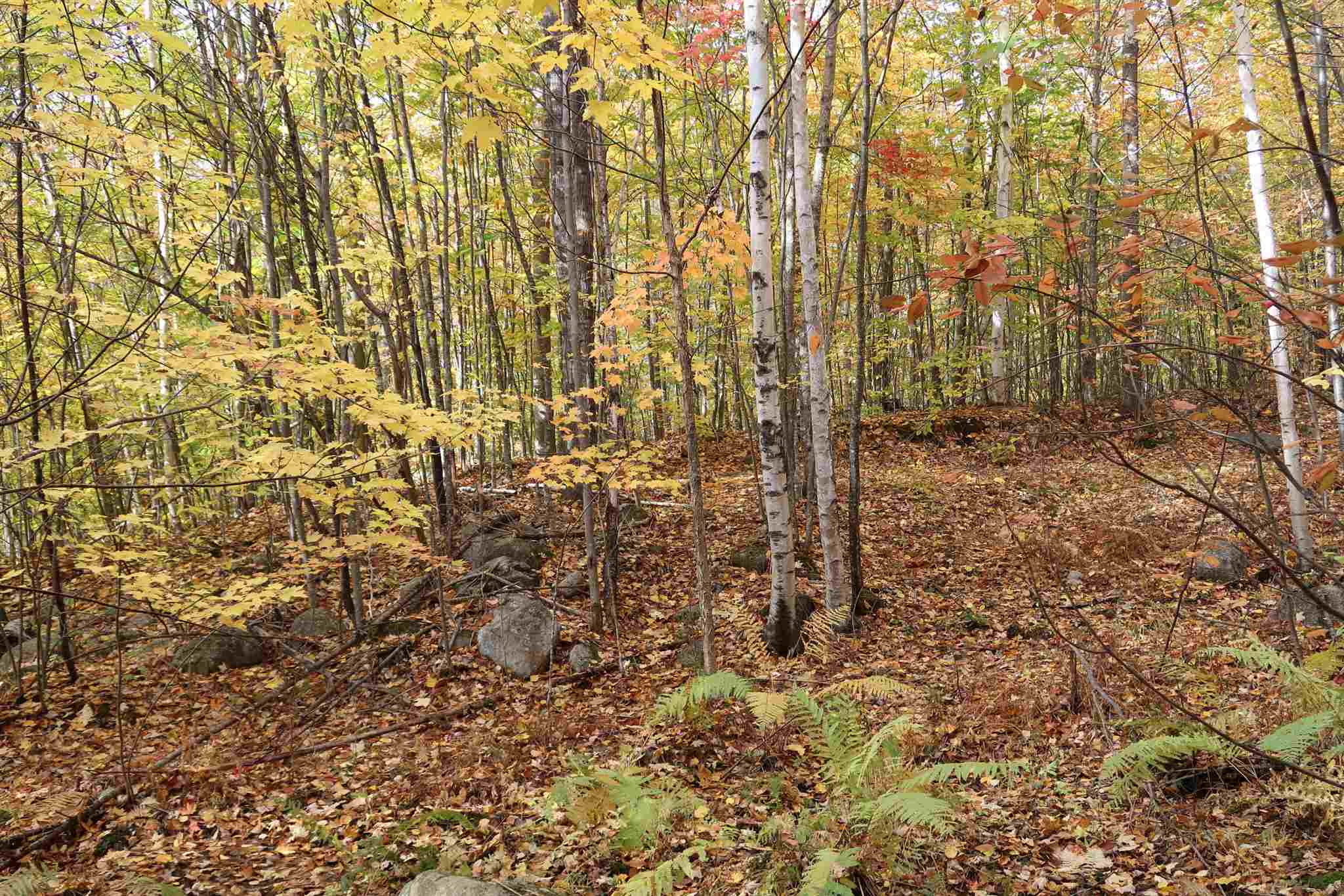 0 Scenic View Road, Unit LOT 5 Bristol, NH 03222 - Photo 16 of 38