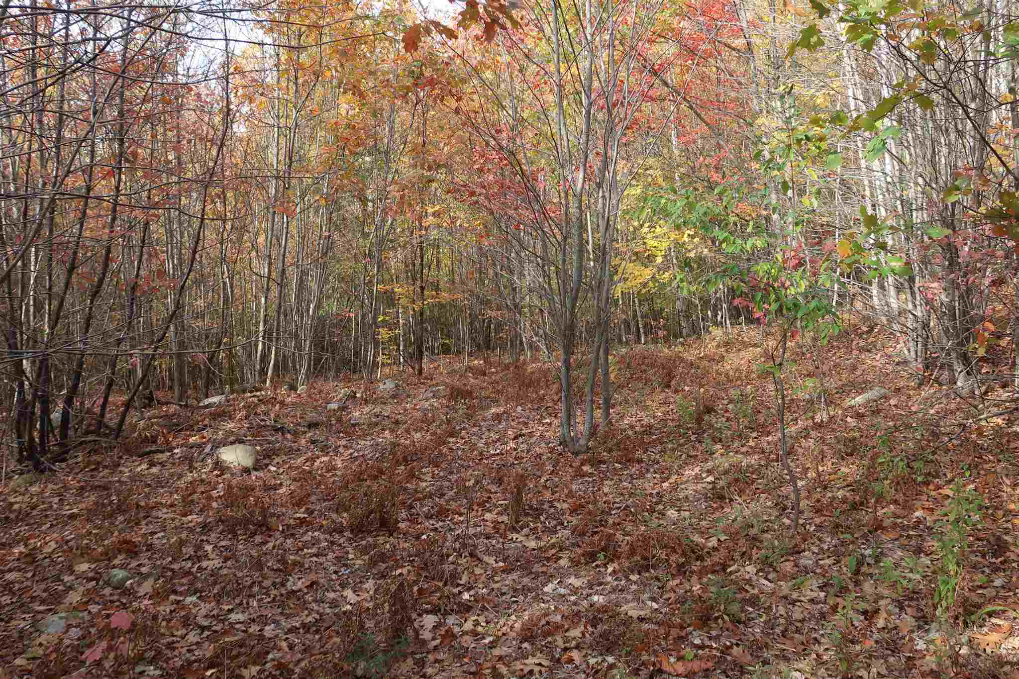 0 Scenic View Road, Unit LOT 5 Bristol, NH 03222 - Photo 3 of 38