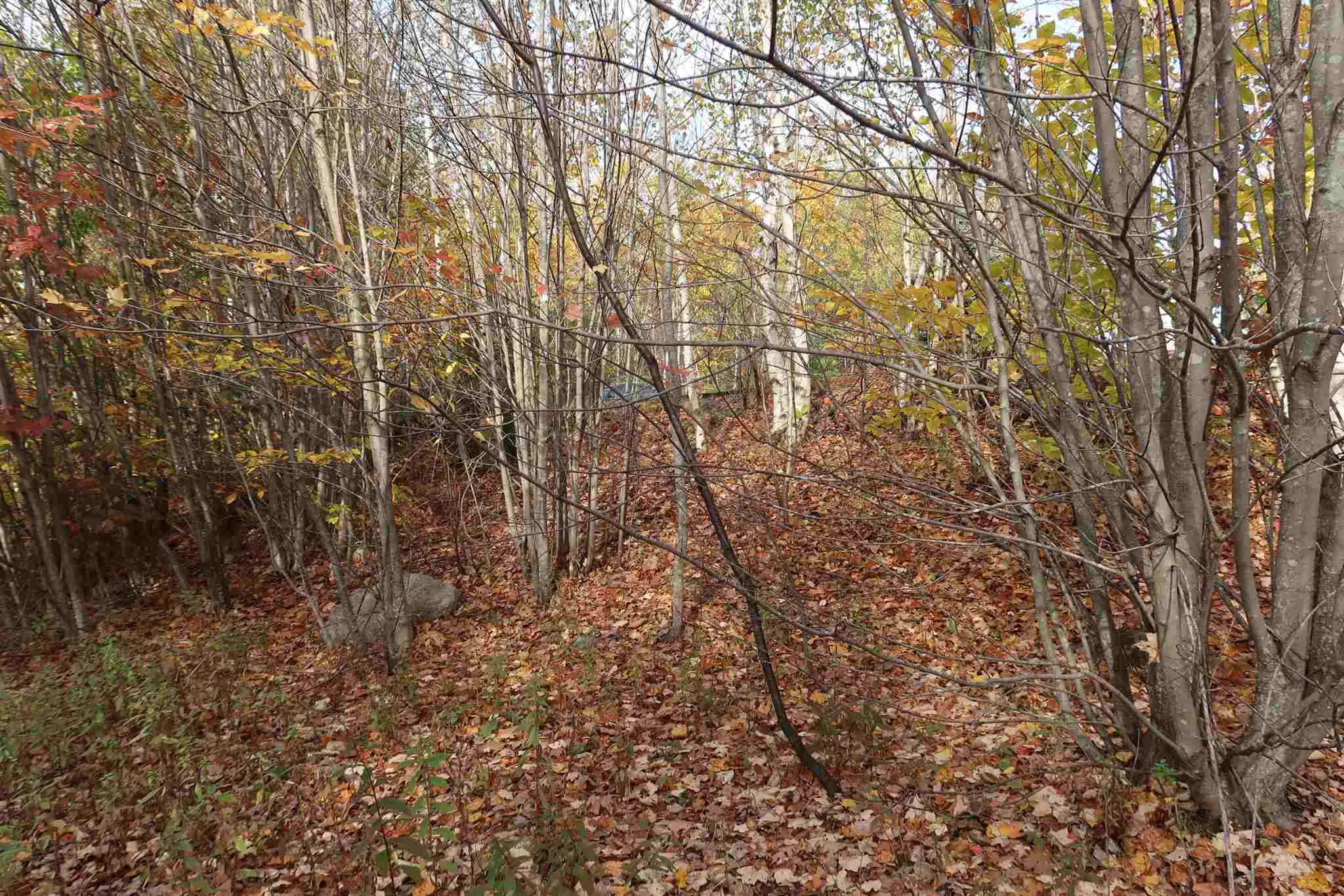 0 Scenic View Road, Unit LOT 5 Bristol, NH 03222 - Photo 23 of 38