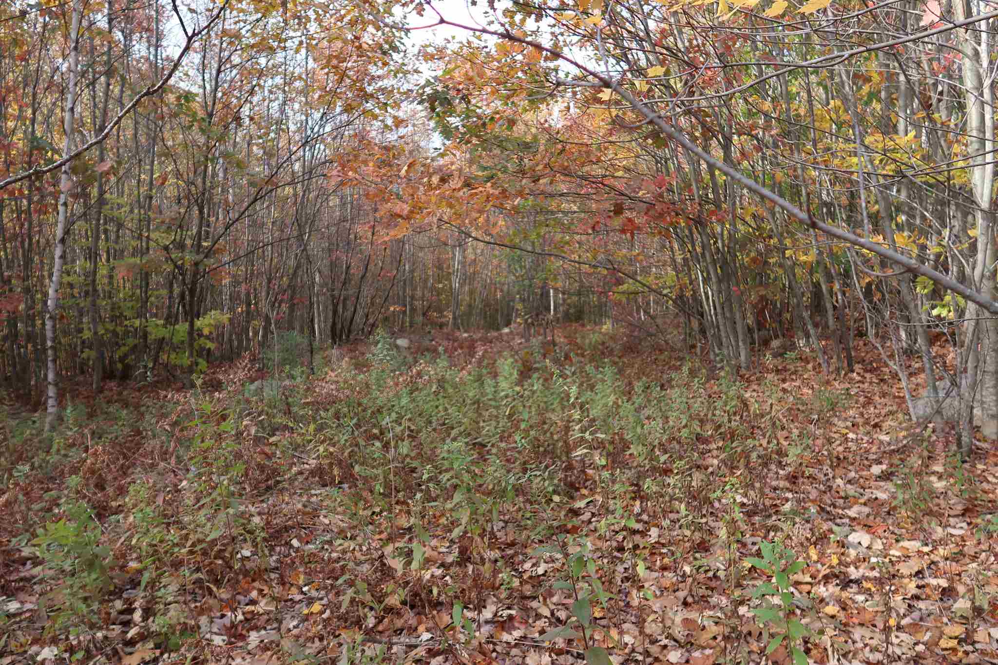 0 Scenic View Road, Unit LOT 5 Bristol, NH 03222 - Photo 24 of 38