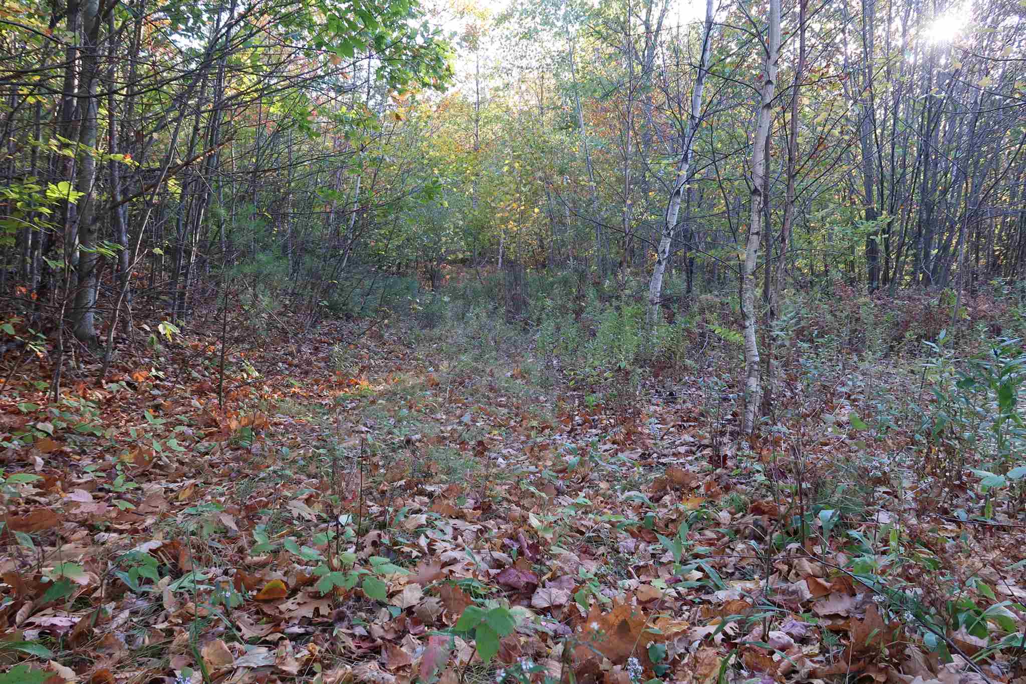 0 Scenic View Road, Unit LOT 5 Bristol, NH 03222 - Photo 25 of 38