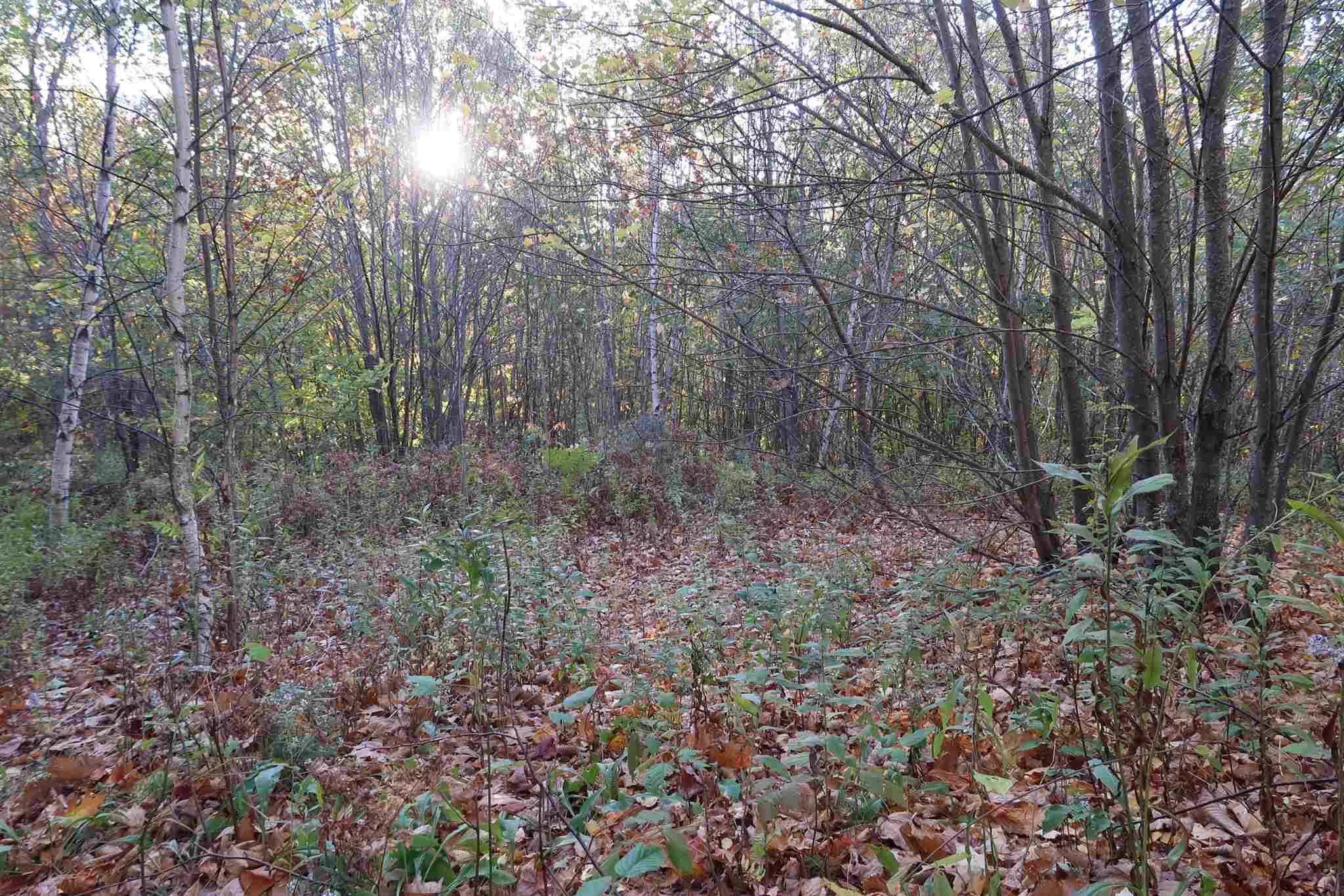 0 Scenic View Road, Unit LOT 5 Bristol, NH 03222 - Photo 26 of 38