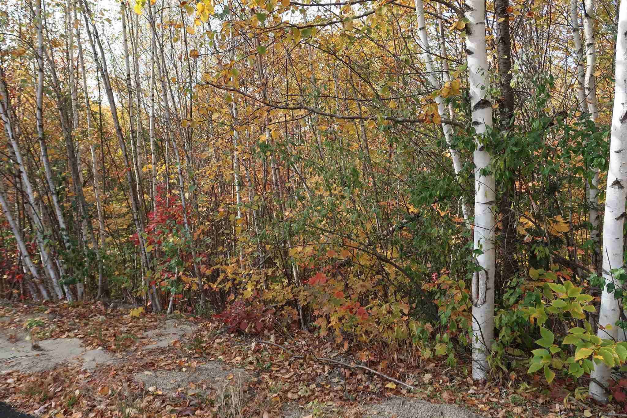 0 Scenic View Road, Unit LOT 5 Bristol, NH 03222 - Photo 28 of 38
