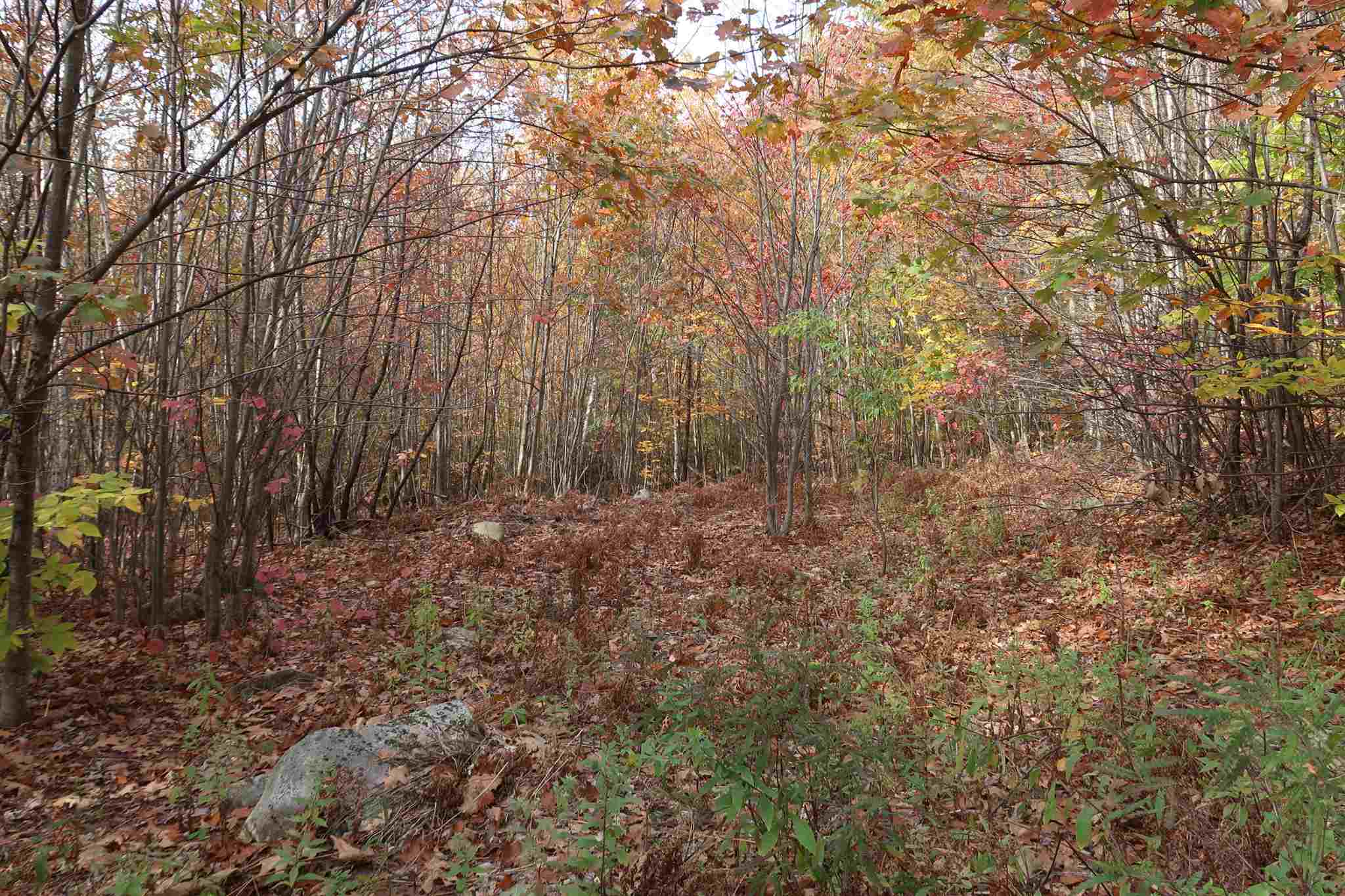 0 Scenic View Road, Unit LOT 5 Bristol, NH 03222 - Photo 29 of 38