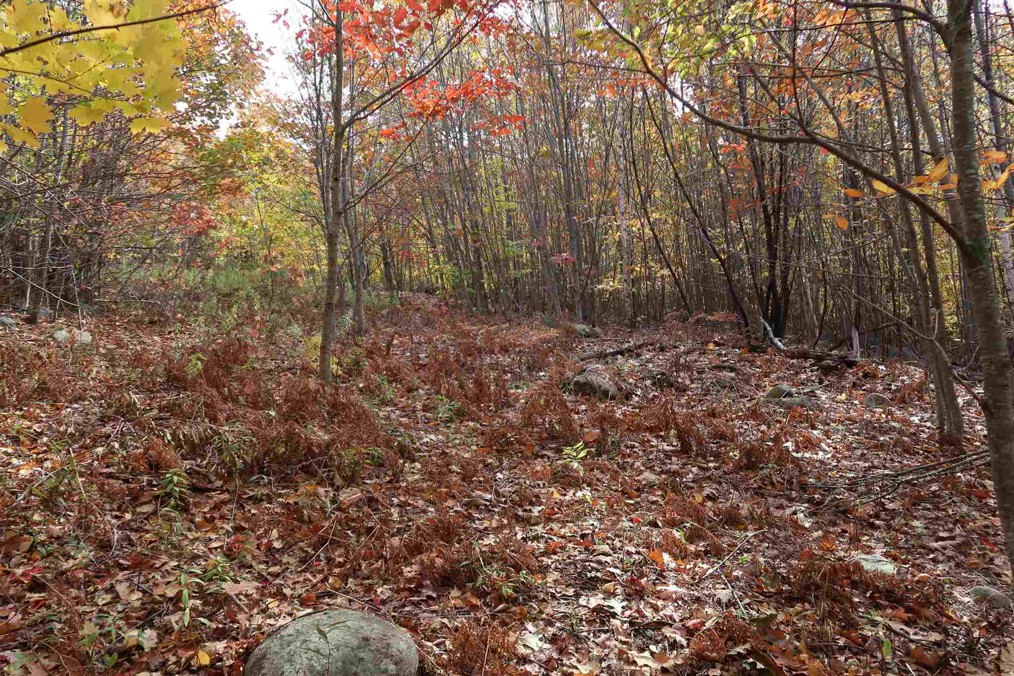 0 Scenic View Road, Unit LOT 5 Bristol, NH 03222 - Photo 30 of 38