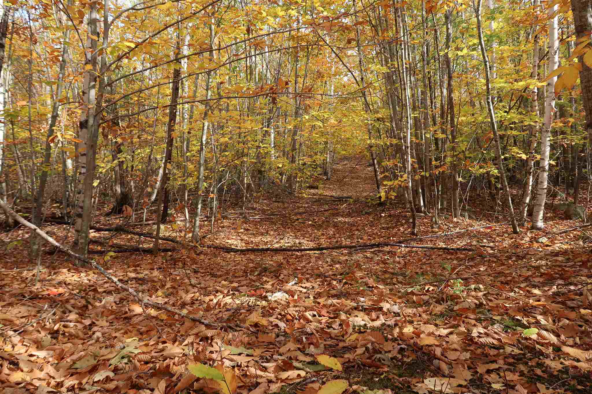 0 Scenic View Road, Unit LOT 5 Bristol, NH 03222 - Photo 4 of 38