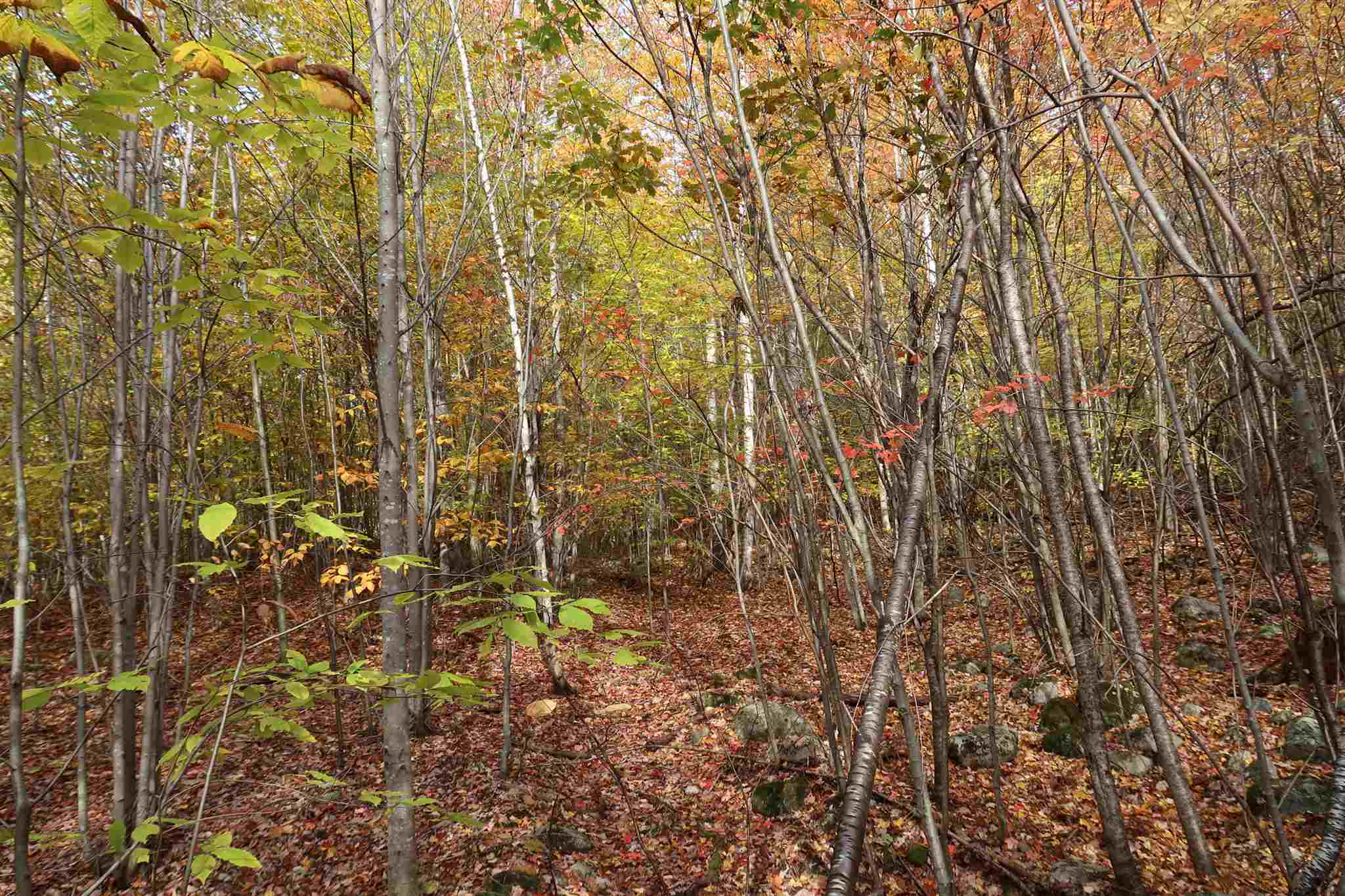 0 Scenic View Road, Unit LOT 5 Bristol, NH 03222 - Photo 32 of 38