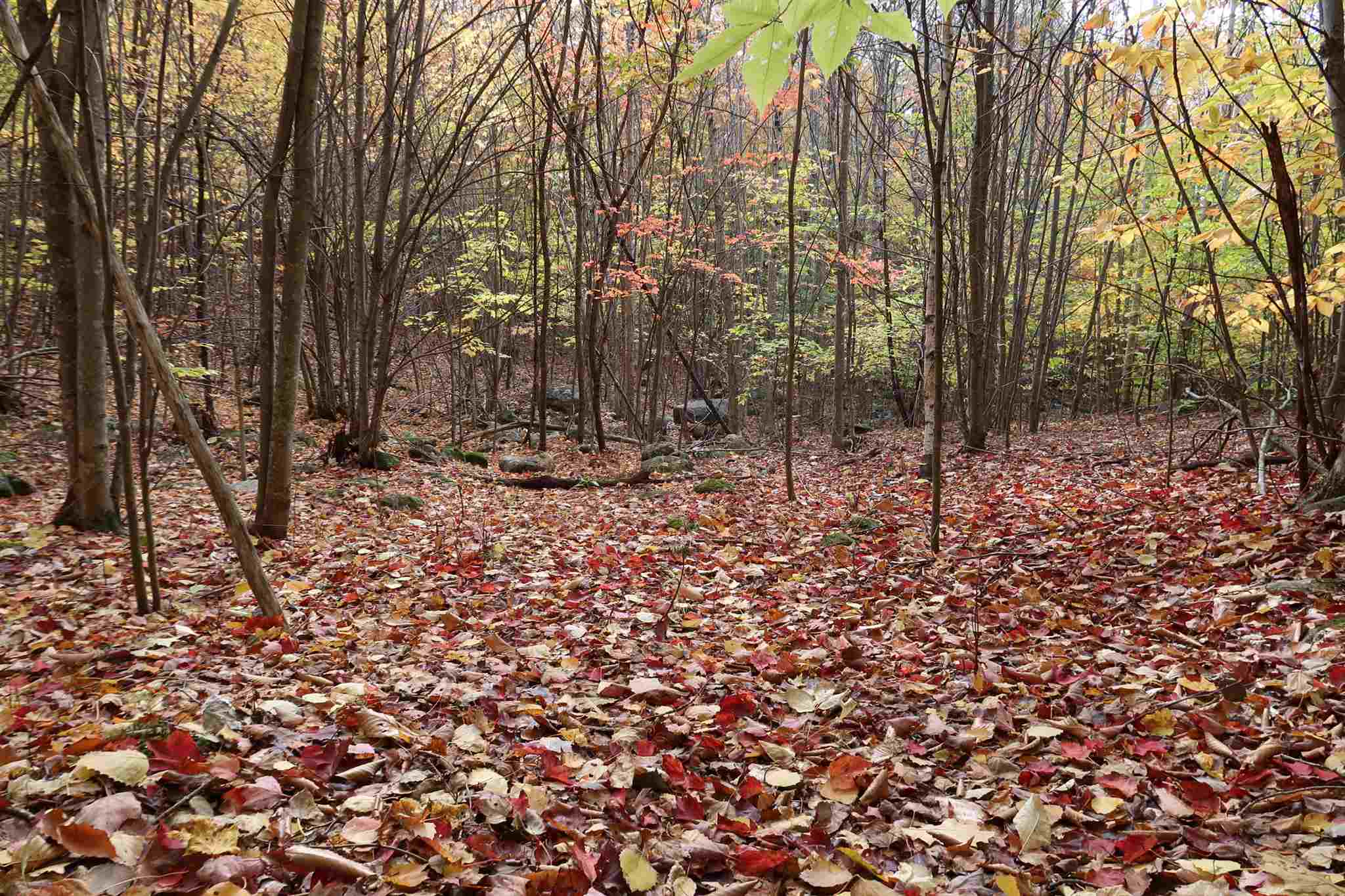 0 Scenic View Road, Unit LOT 5 Bristol, NH 03222 - Photo 33 of 38