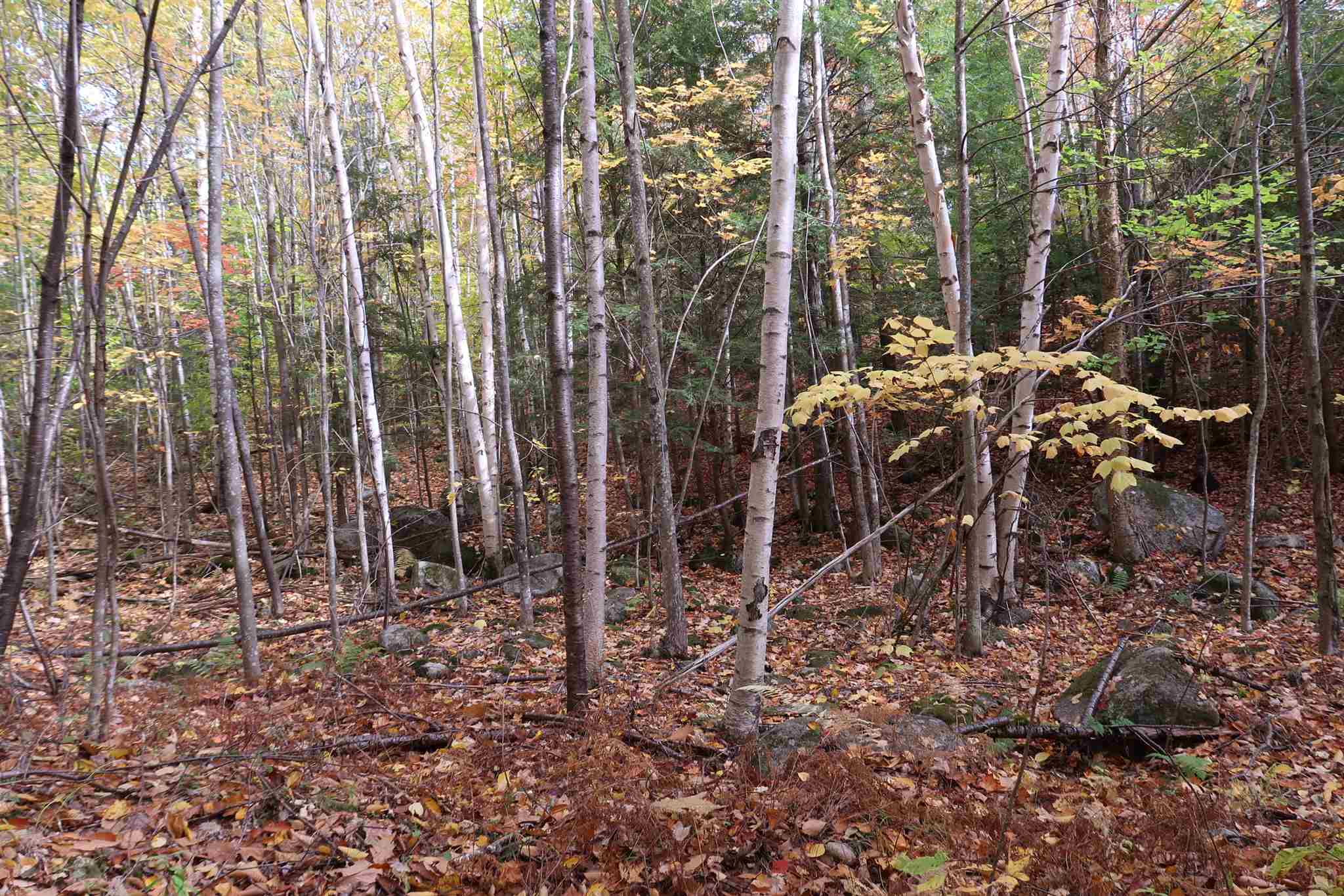 0 Scenic View Road, Unit LOT 5 Bristol, NH 03222 - Photo 34 of 38