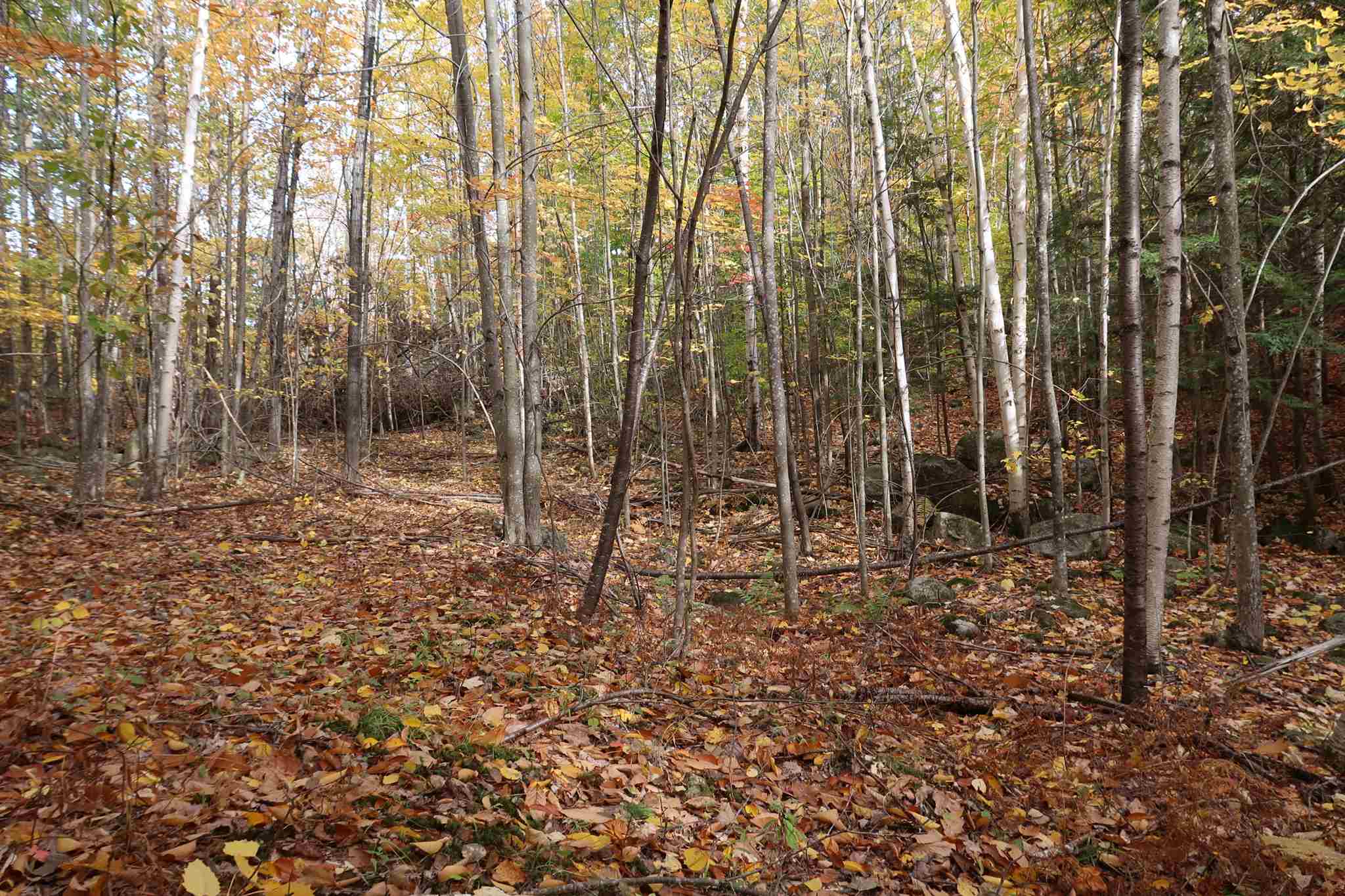 0 Scenic View Road, Unit LOT 5 Bristol, NH 03222 - Photo 35 of 38