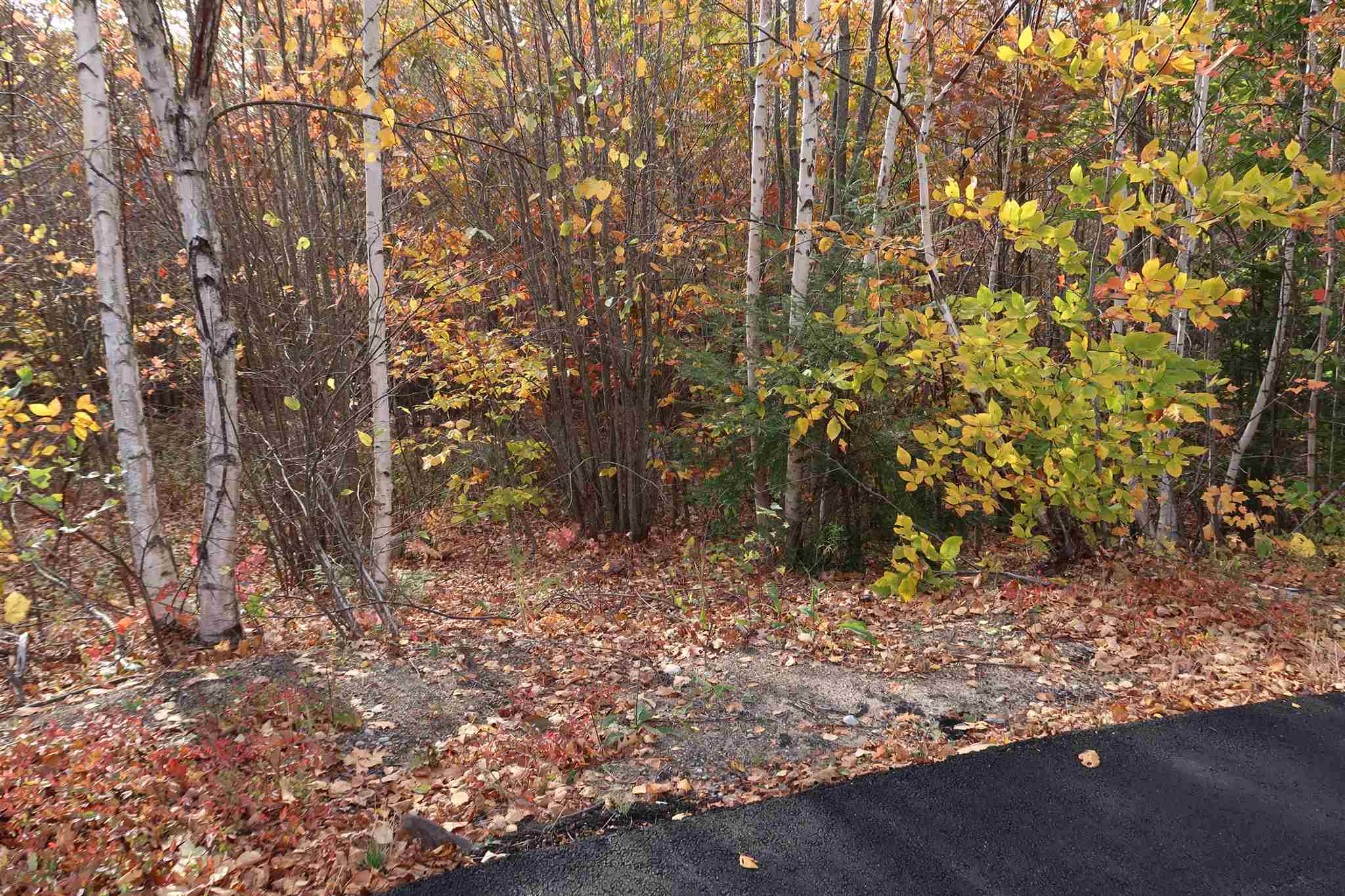 0 Scenic View Road, Unit LOT 5 Bristol, NH 03222 - Photo 5 of 38