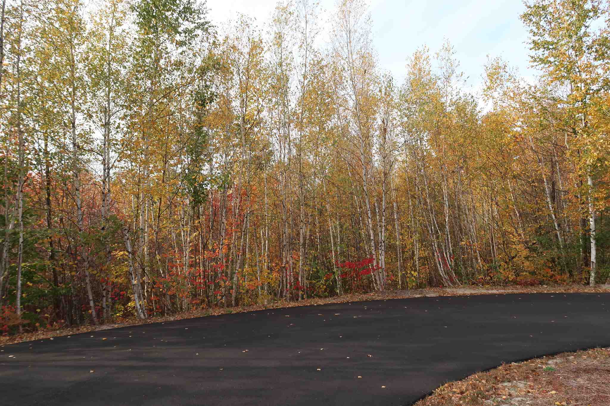0 Scenic View Road, Unit LOT 5 Bristol, NH 03222 - Photo 6 of 38