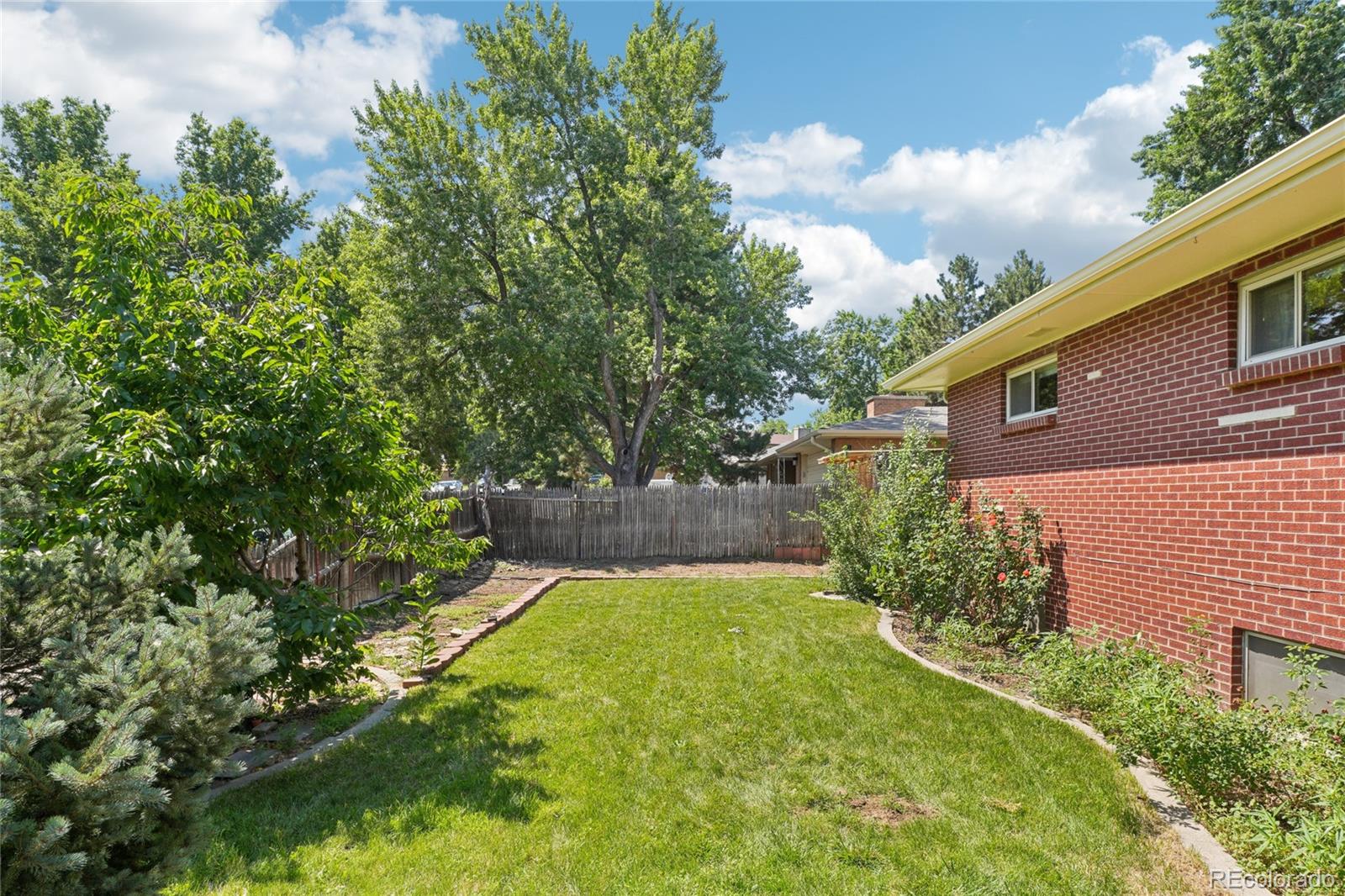 6920 West 47th Place Wheat Ridge, CO 80033 - Photo 38 of 43 a view of a backyard with plants and large trees