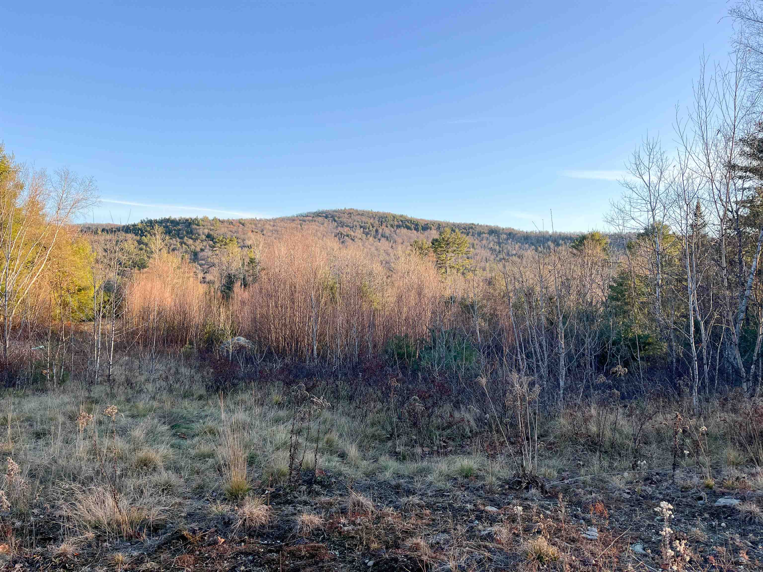 0 Buck Ridge Lisbon, NH 03585 - Photo 25 of 45