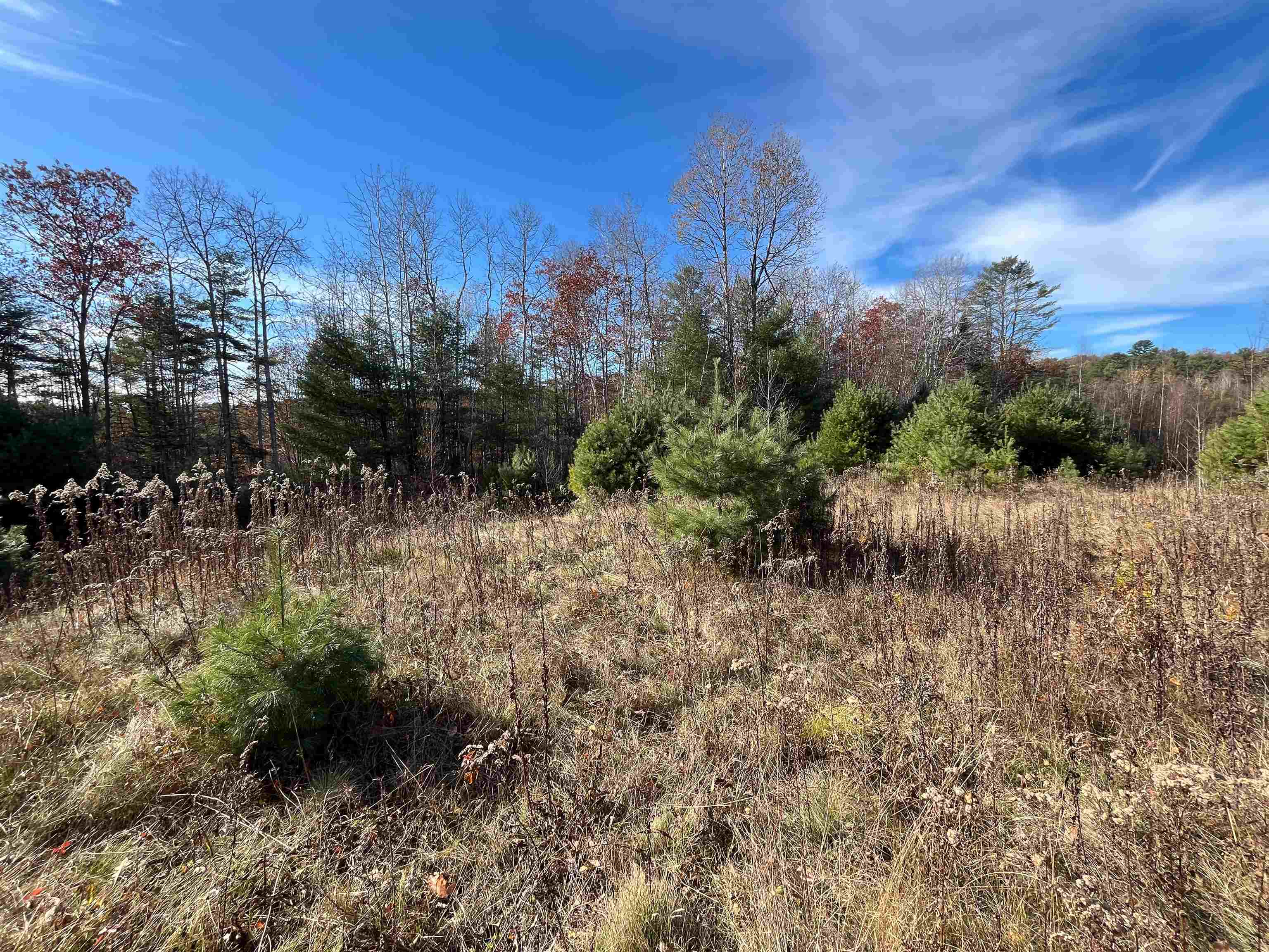 0 Buck Ridge Lisbon, NH 03585 - Photo 28 of 45