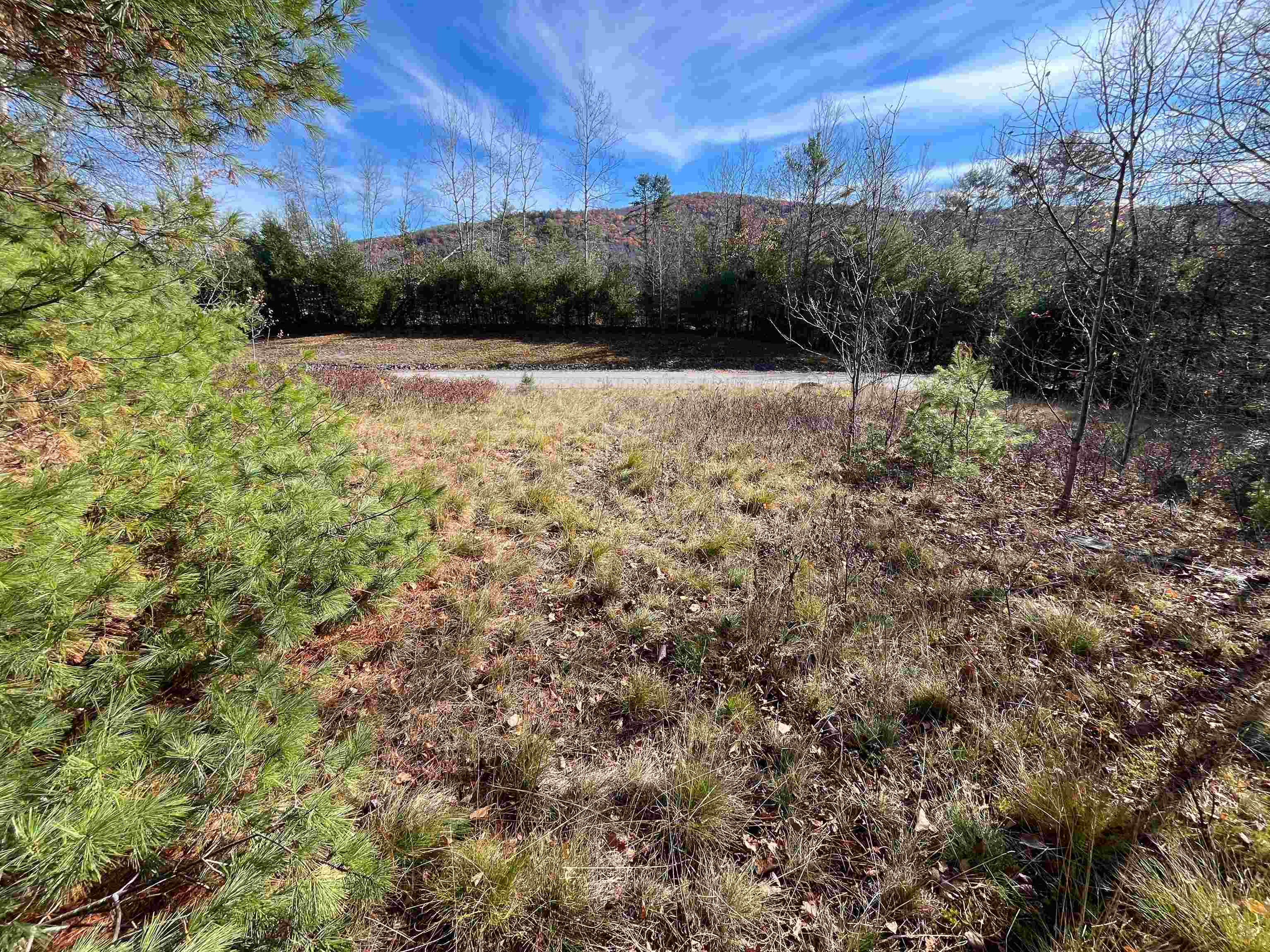 0 Buck Ridge Lisbon, NH 03585 - Photo 30 of 45