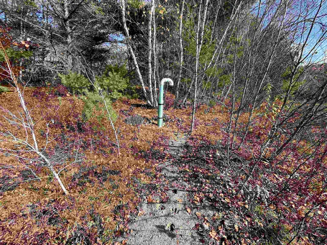 $150,000 | 0 Buck Ridge, Lisbon, NH 03585