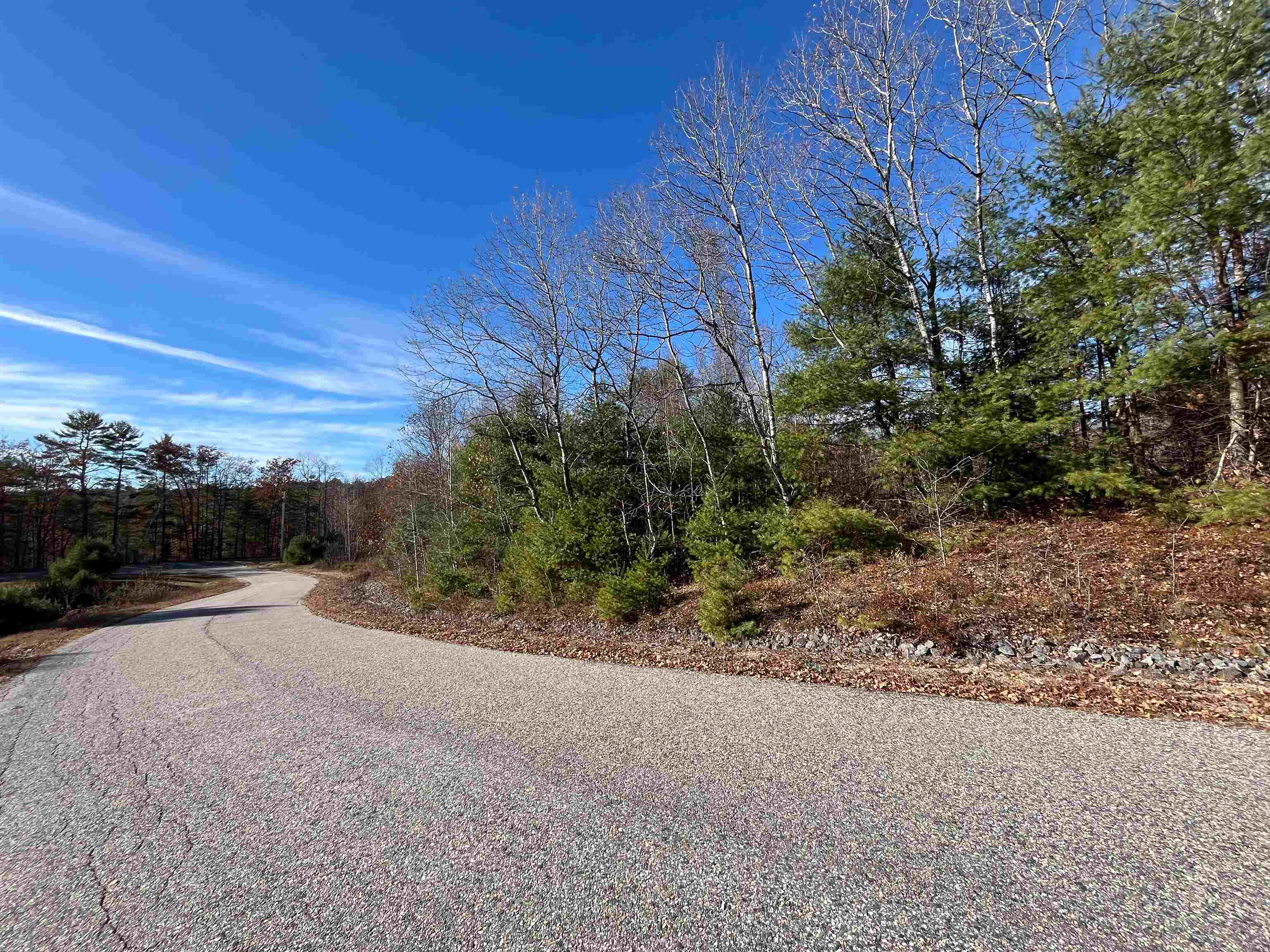 0 Buck Ridge Lisbon, NH 03585 - Photo 43 of 45