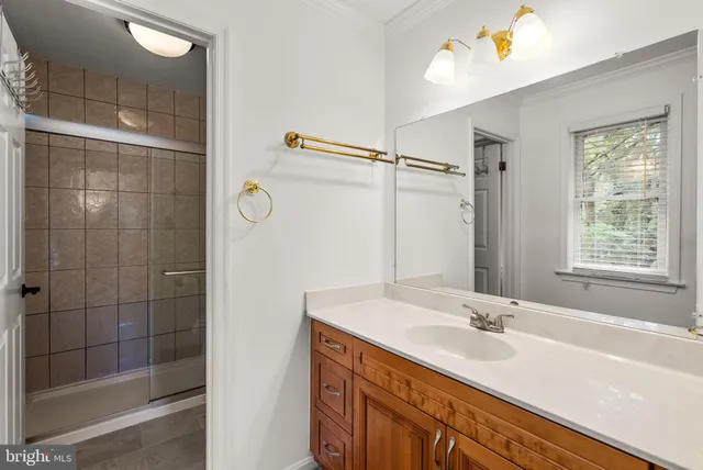 a view of a garden with a bench and trees