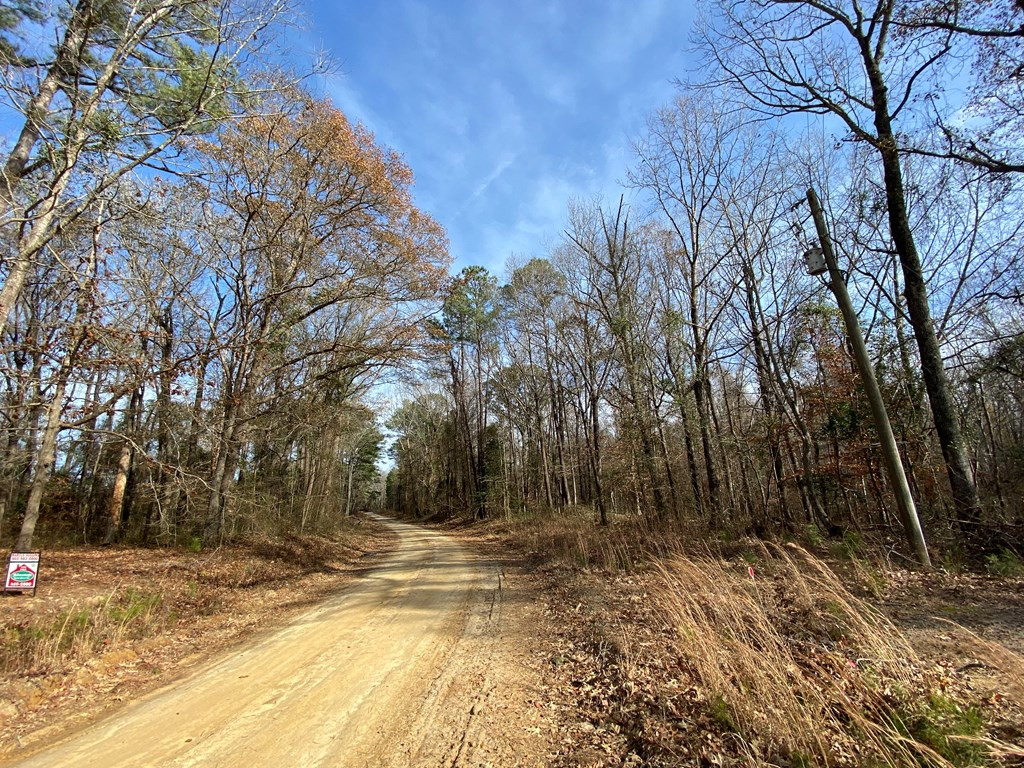 8115 Wateree Road Rembert, SC 29128 - Photo 19 of 19