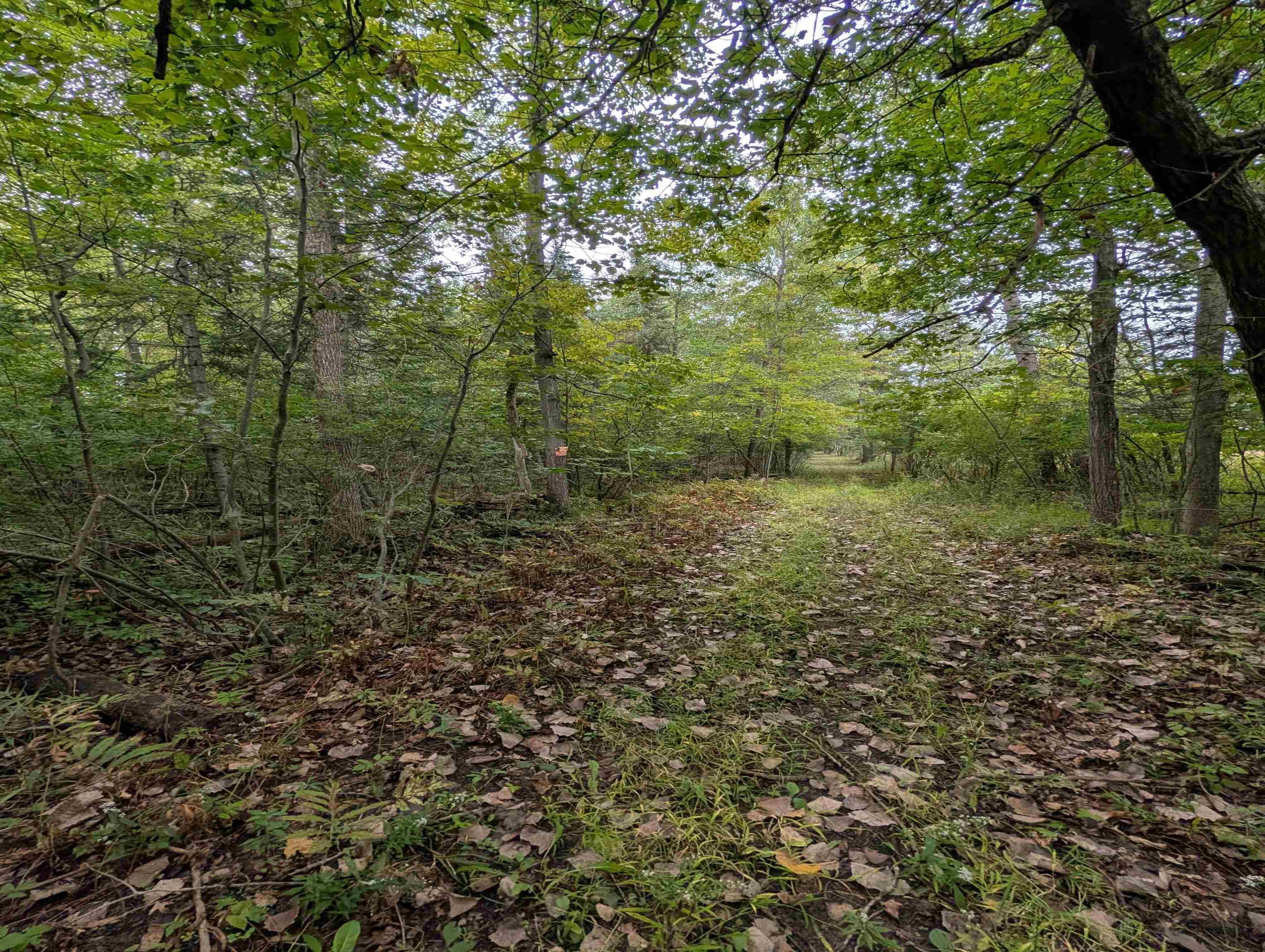 N/a West Huron Road Omer, MI 48749 - Photo 8 of 23 1950587-5fc2ce99-b926-4ba9-b8a1-e3d5f34a1d4a.JPG