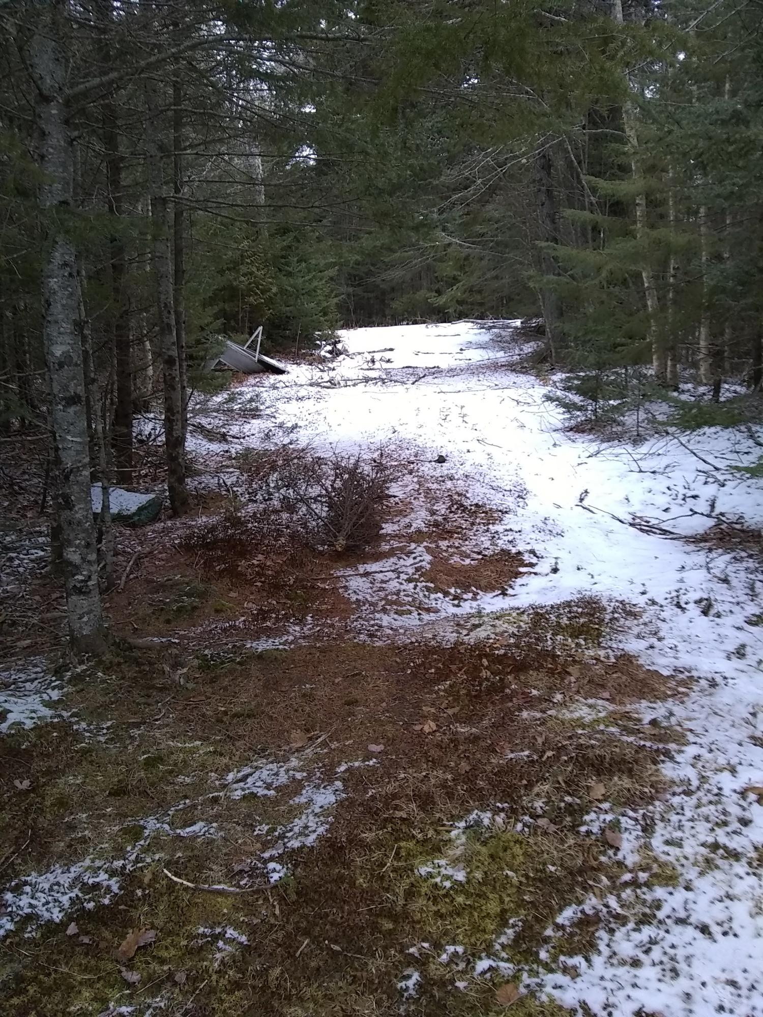 Lot 35.2 Stagecoach Road Dennysville, ME 04628 - Photo 5 of 8 IMG_20190116_091757386