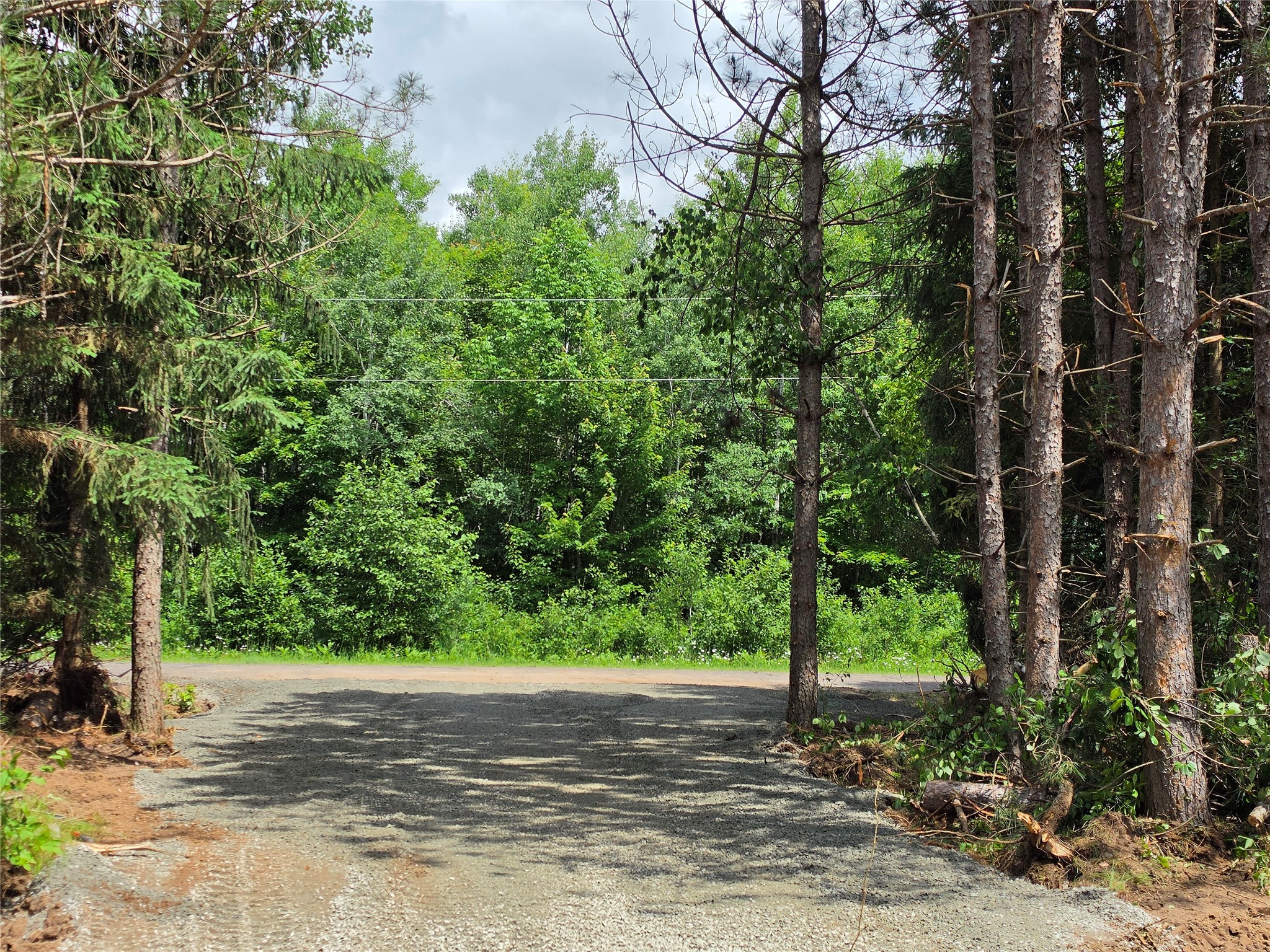 20-acres Adams Road Bruce, WI 54819 - Photo 2 of 14
