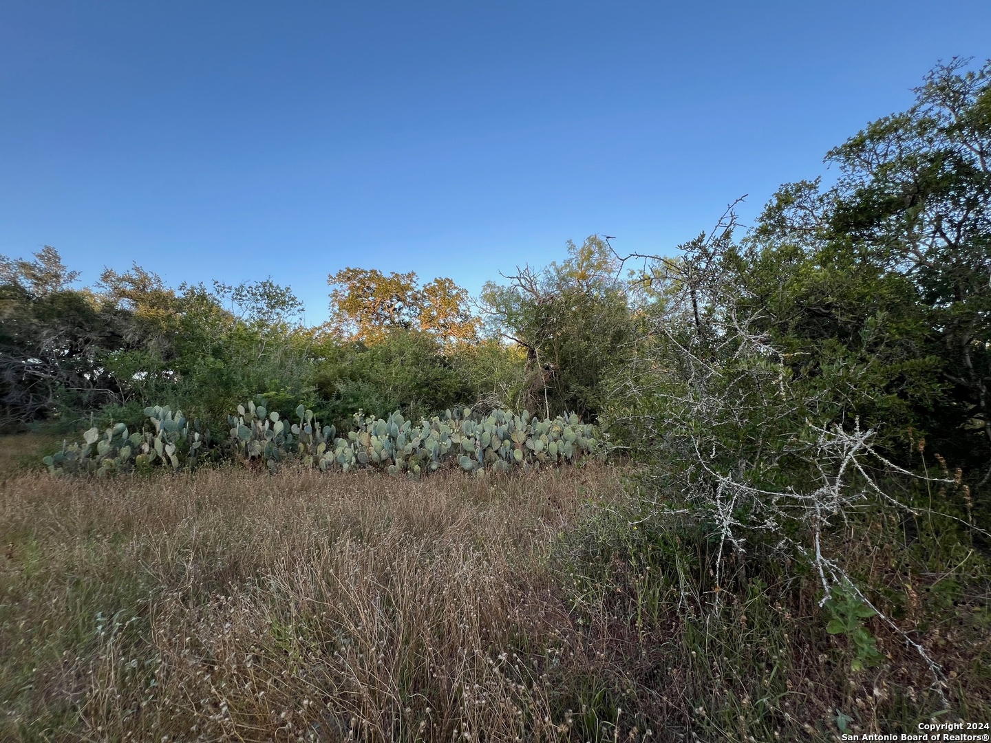 0 Bruce Road Pleasanton, TX 78064 - Photo 11 of 17