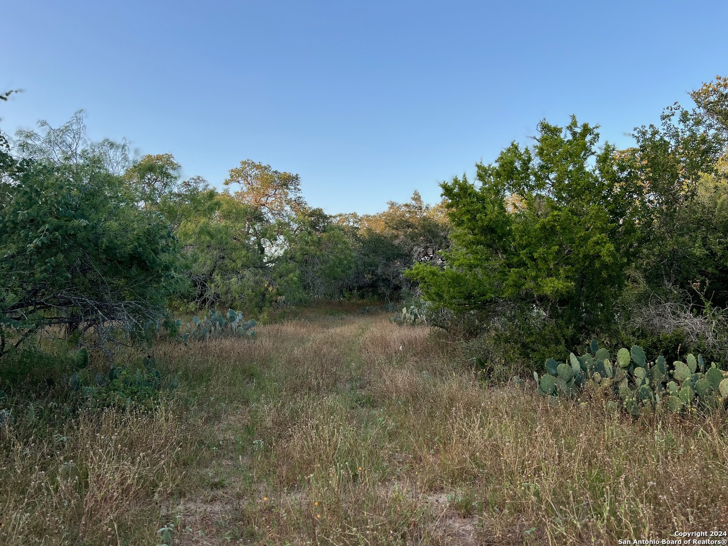 0 Bruce Road Pleasanton, TX 78064 - Photo 12 of 17