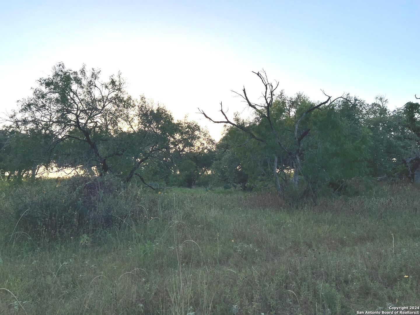 0 Bruce Road Pleasanton, TX 78064 - Photo 13 of 17