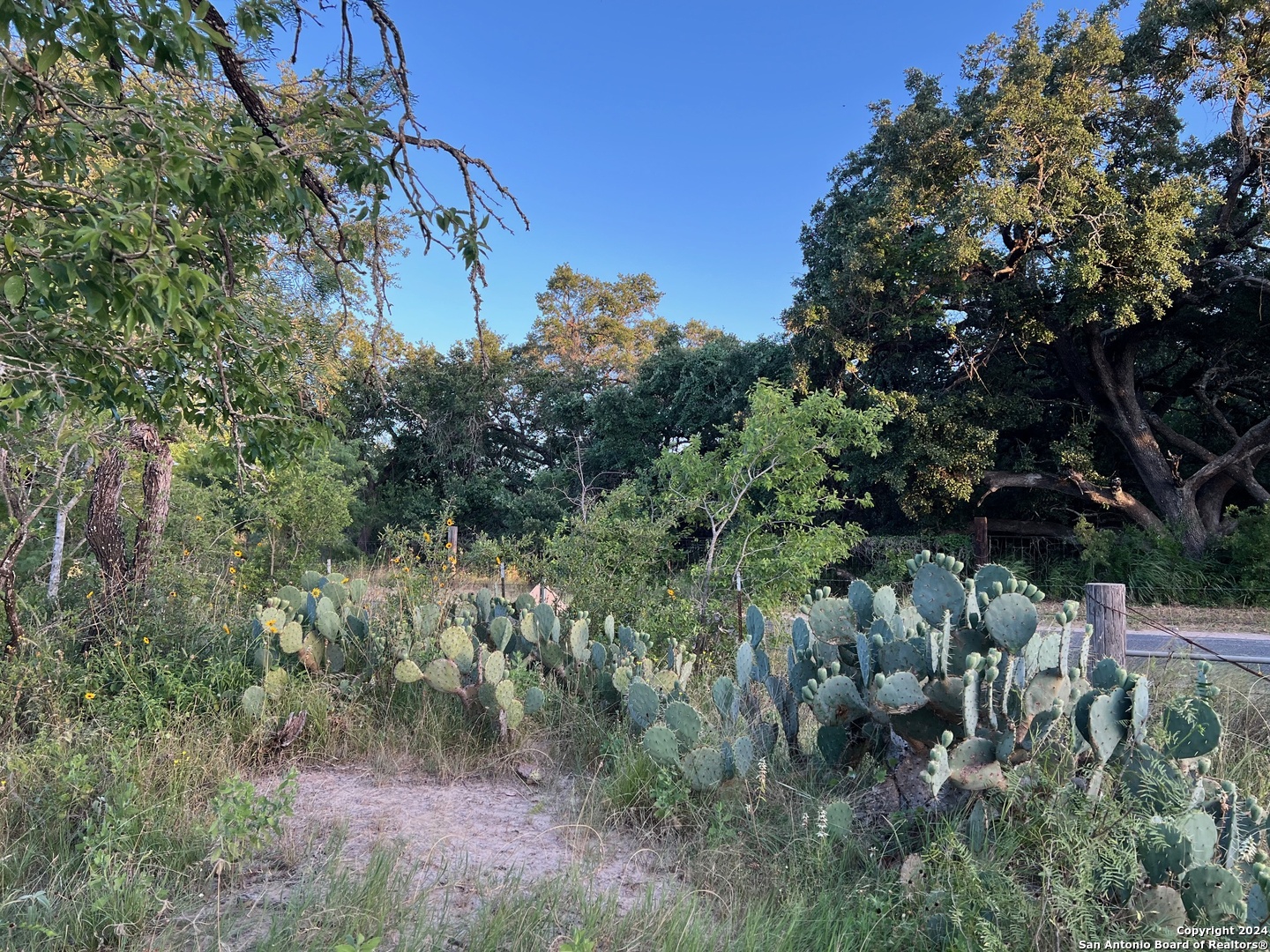 0 Bruce Road Pleasanton, TX 78064 - Photo 14 of 17