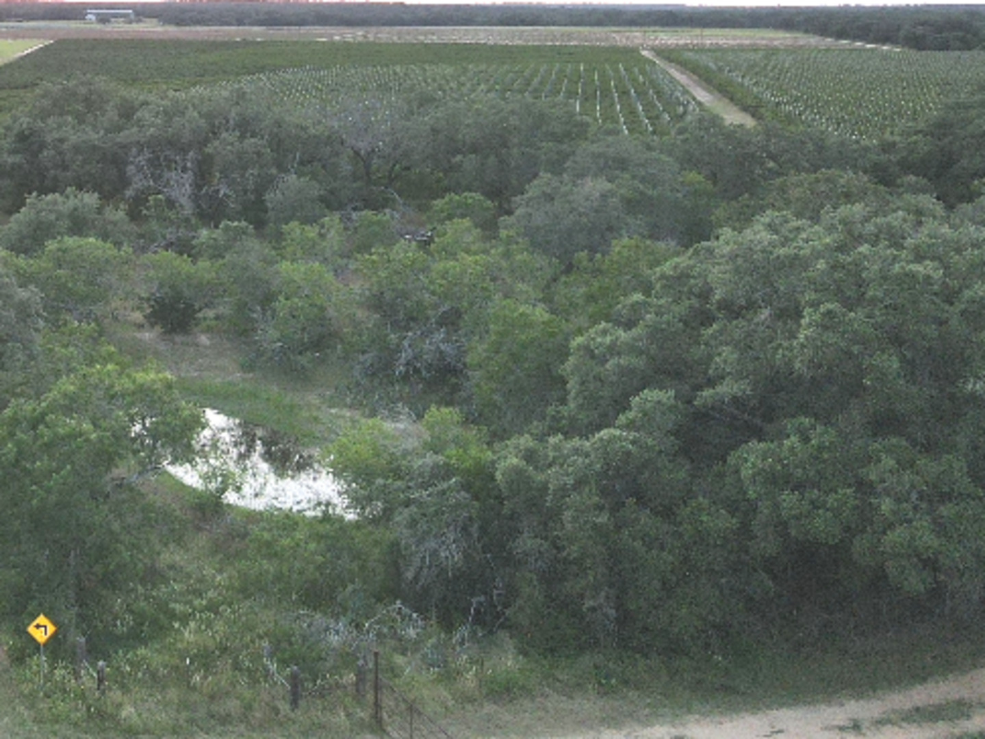 0 Bruce Road Pleasanton, TX 78064 - Photo 2 of 17