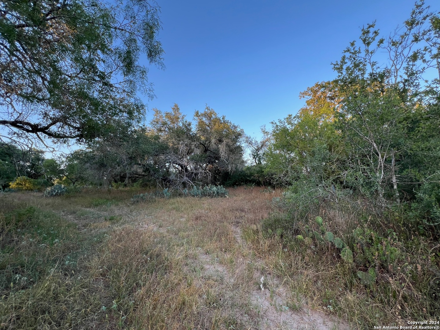 0 Bruce Road Pleasanton, TX 78064 - Photo 5 of 17