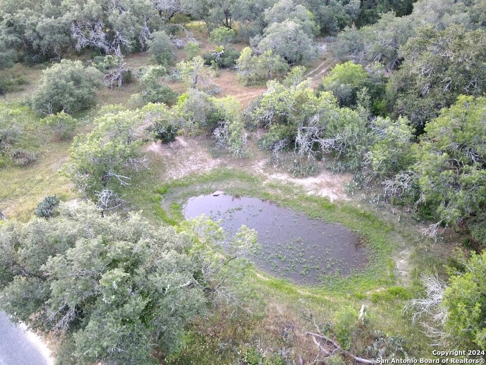 0 Bruce Road Pleasanton, TX 78064 - Photo 6 of 17